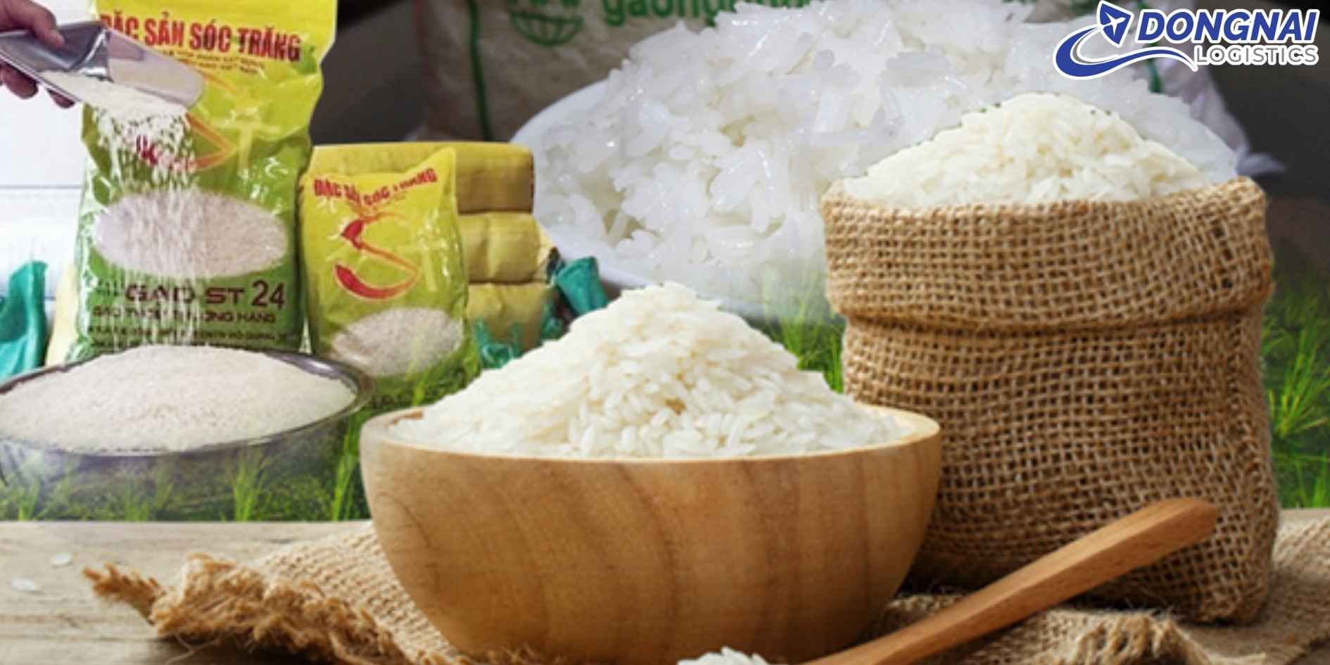 Vận Chuyển Gạo ST25 Đồng Tháp Sang Singapore - Bảo Đảm Hạt Gạo Thơm Ngon
