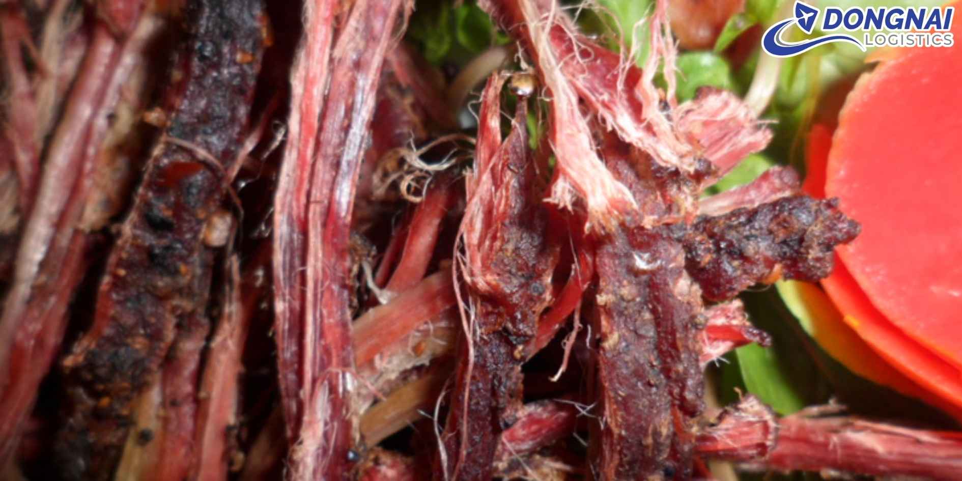 Vận Chuyển Thịt Trâu Gác Bếp Sơn La Sang Cần Thơ – Đảm Bảo Khô, Không Mốc Suốt Quãng Đường