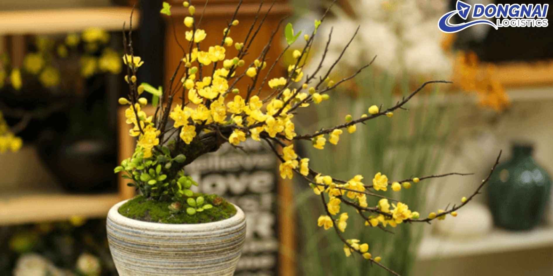 Vận Chuyển Hoa Mai Giả Cao Cấp Sang Pháp - Trang Hoàng Không Gian Tết Việt