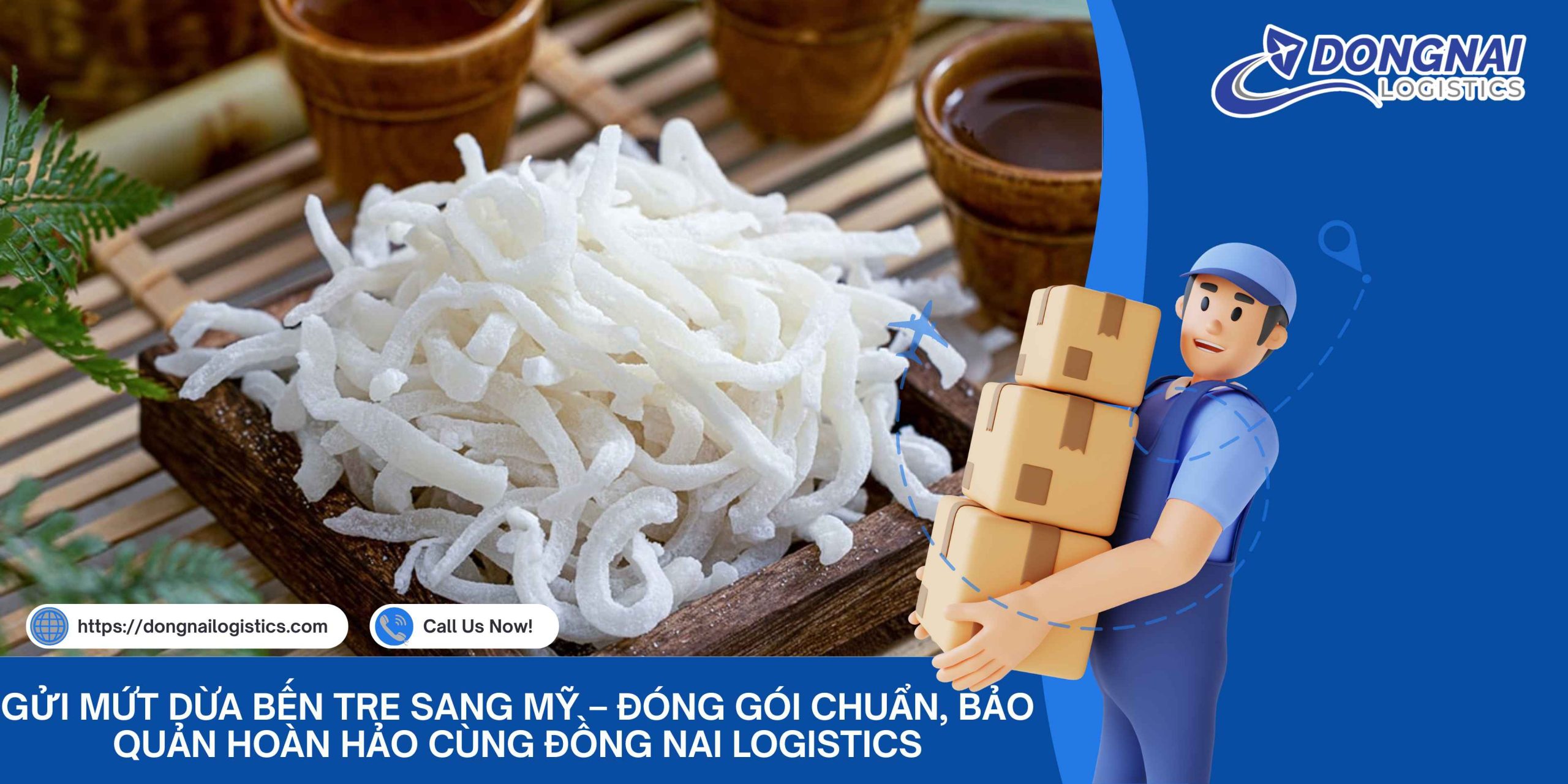 Gửi Mứt Dừa Bến Tre Sang Mỹ – Đóng Gói Chuẩn, Bảo Quản Hoàn Hảo Cùng Đồng Nai Logistics