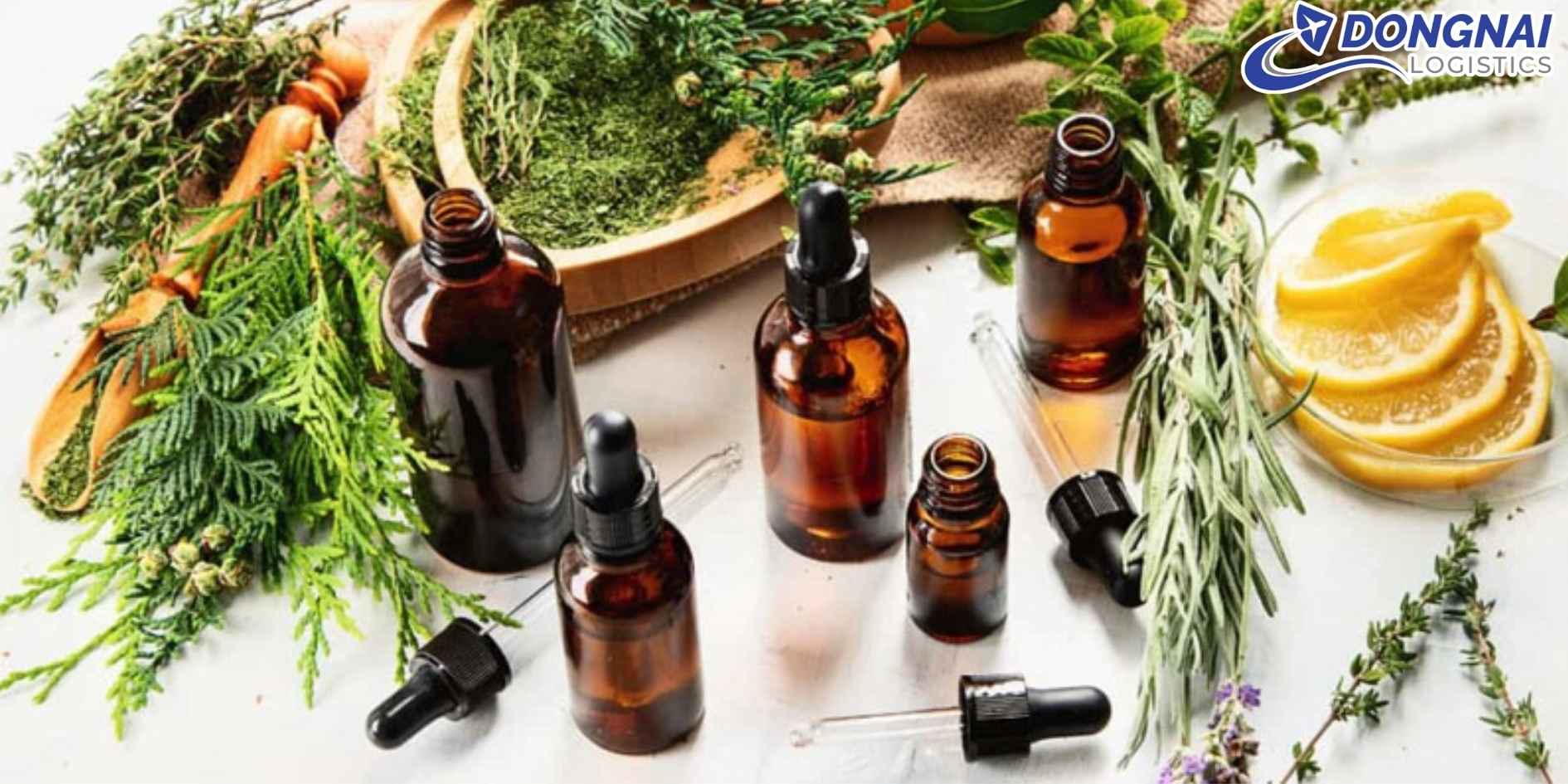 Vận Chuyển Mỹ Phẩm Thuần Chay Sản Xuất Tại Việt Nam Sang Đức – Đảm Bảo Tiêu Chuẩn Đóng Gói Và Kiểm Định