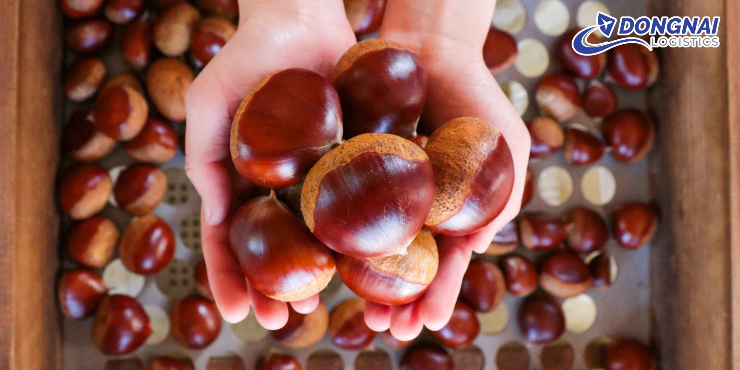 Gửi Hạt Dẻ Đi Nhật Bản – An Toàn, Đúng Chuẩn Cùng Dịch Vụ Chuyên Nghiệp