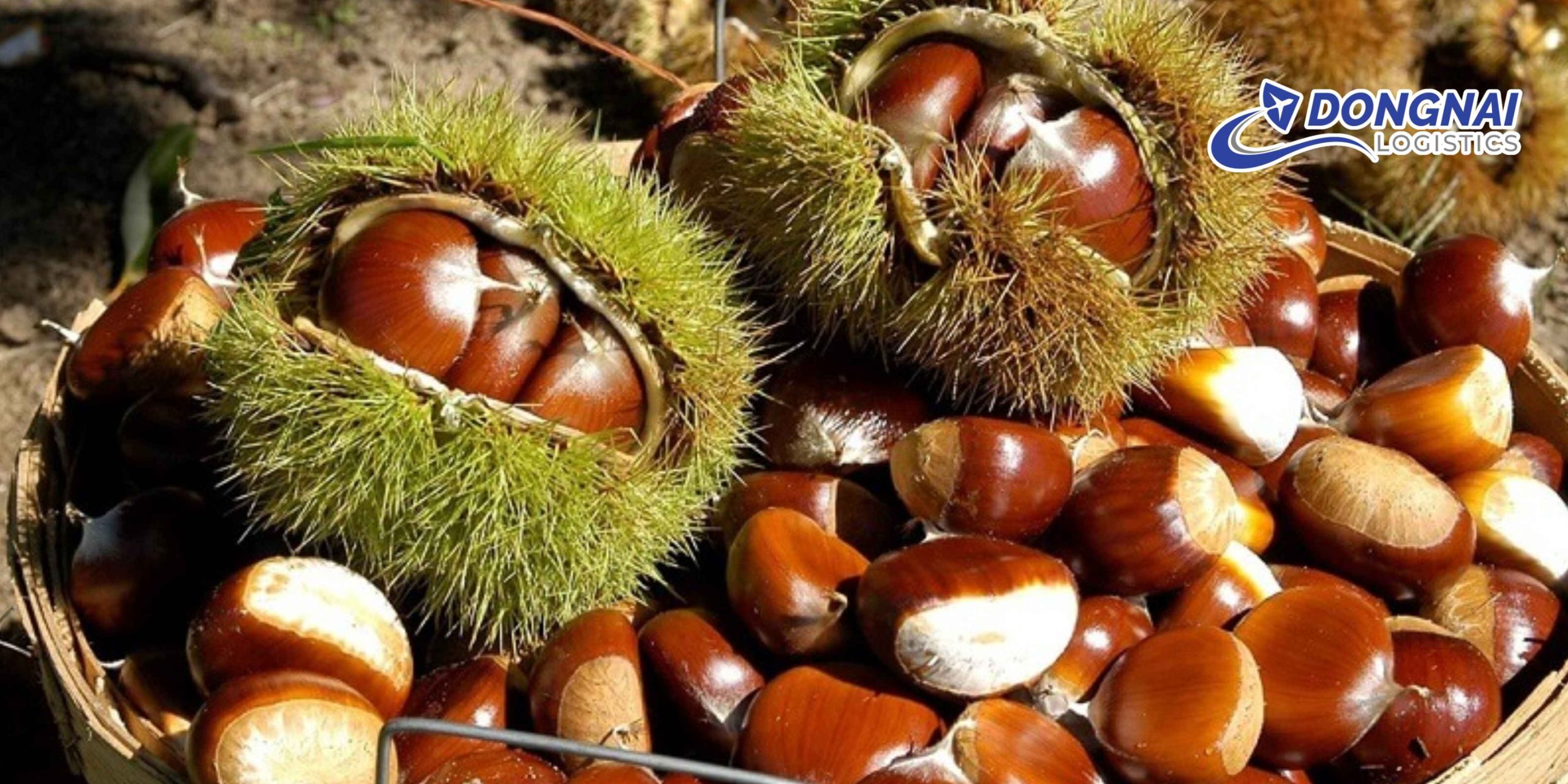 Gửi Hạt Dẻ Đi Nhật Bản – An Toàn, Đúng Chuẩn Cùng Dịch Vụ Chuyên Nghiệp