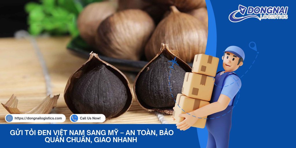 Gửi Tỏi Đen Việt Nam Sang Mỹ – An Toàn, Bảo Quản Chuẩn, Giao Nhanh Cùng Đồng Nai Logistics
