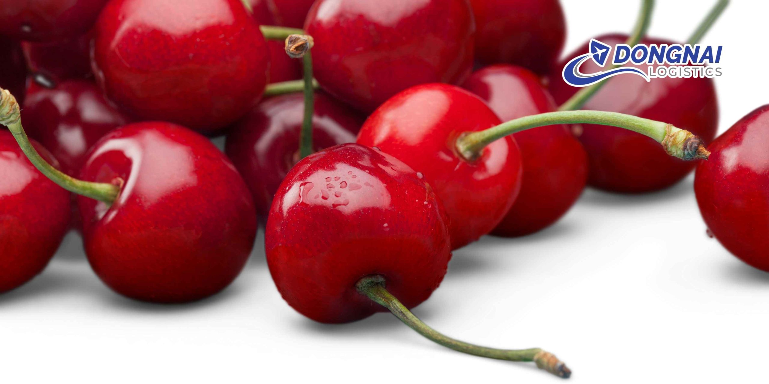 Vận chuyển hỏa tốc cherry tươi từ Đồng Nai đi Hải Phòng là giải pháp hiệu quả để giữ nguyên độ tươi, màu sắc và hương vị của loại trái cây cao cấp này. Khi thực hiện đúng quy trình chọn hàng, đóng gói và bảo quản lạnh, cherry có thể đến tay người nhận trong ngày với chất lượng tốt, hình thức đẹp và an toàn khi sử dụng.