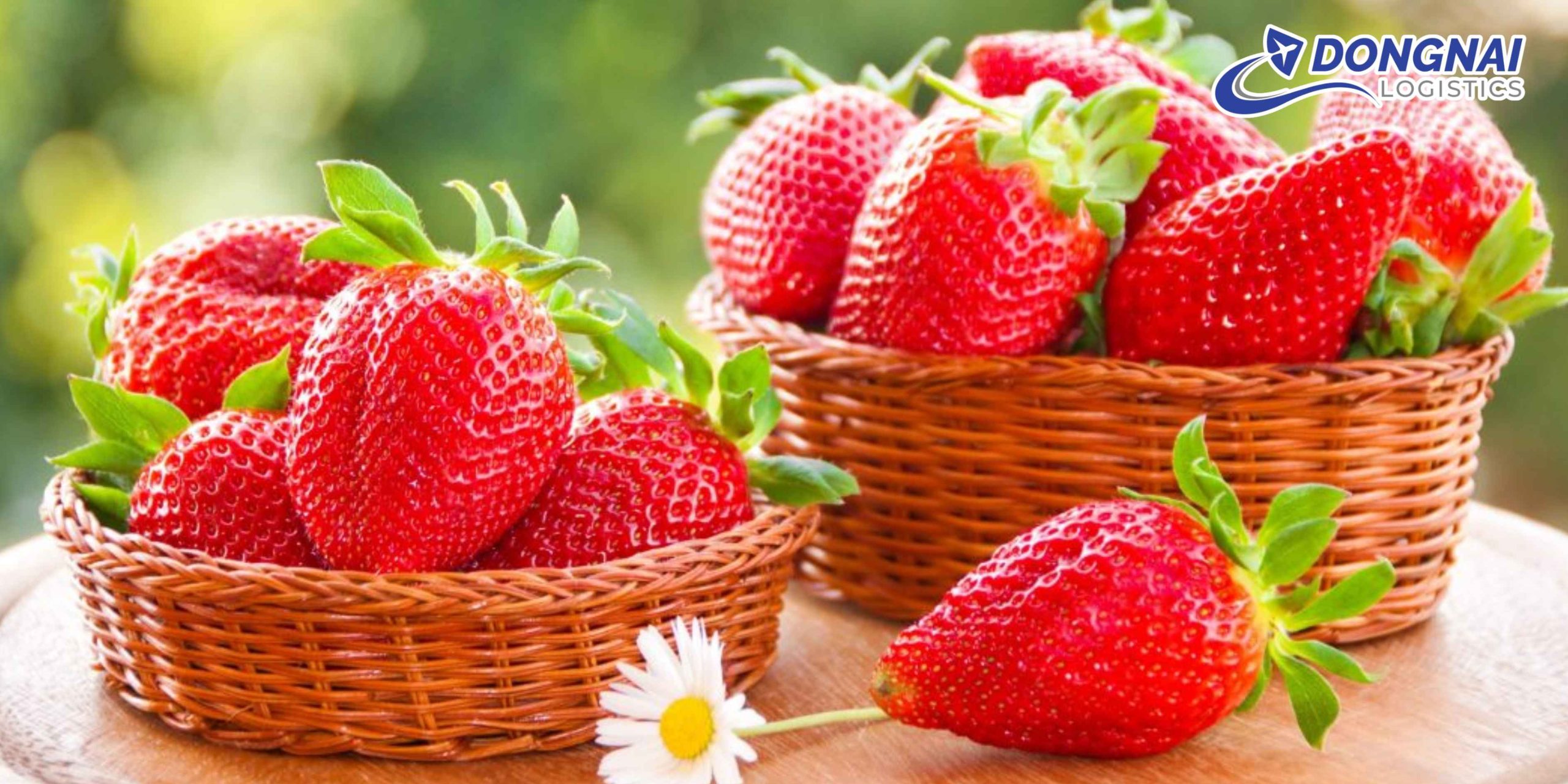 Gửi Dâu Đà Lạt Xuống TP.HCM – Tươi Ngon, Nhanh Chóng Cùng DongNai Logistics