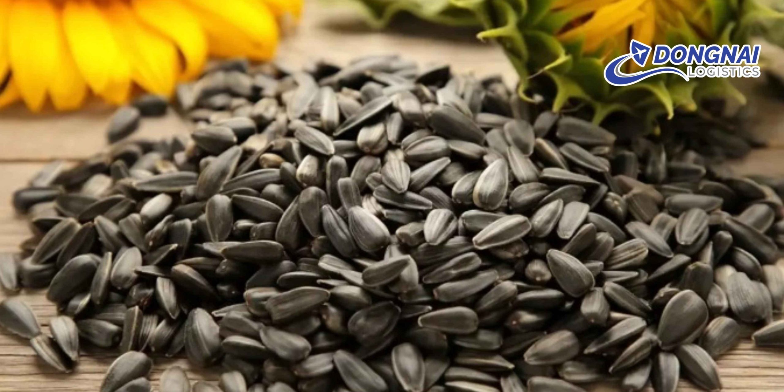 Gửi Hạt Hướng Dương Từ Việt Nam Sang Đức – Giữ Trọn Chất Lượng Cùng DongNai Logistics
