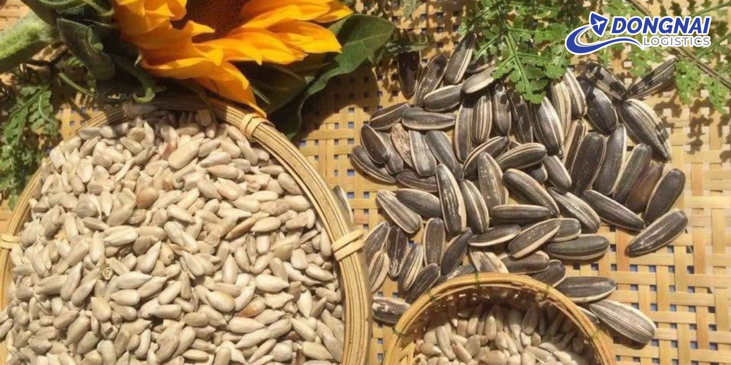 Gửi Hạt Hướng Dương Từ Việt Nam Sang Đức – Giữ Trọn Chất Lượng Cùng DongNai Logistics