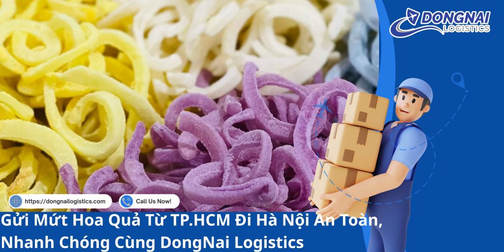 Gửi Mứt Hoa Quả Từ TP.HCM Đi Hà Nội An Toàn, Nhanh Chóng Cùng DongNai Logistics