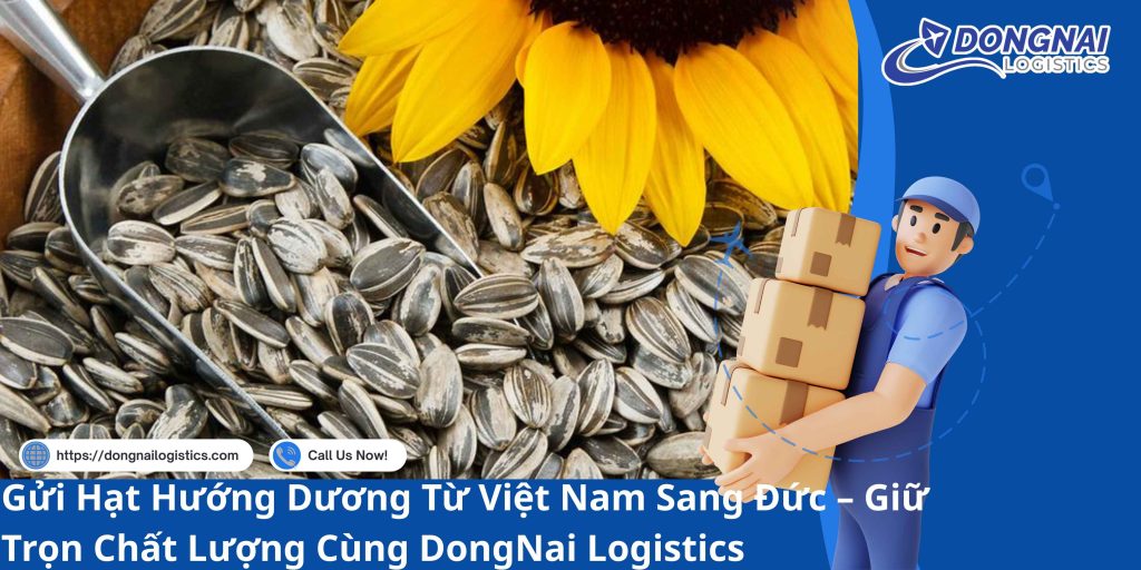 Gửi Hạt Hướng Dương Từ Việt Nam Sang Đức – Giữ Trọn Chất Lượng Cùng DongNai Logistics