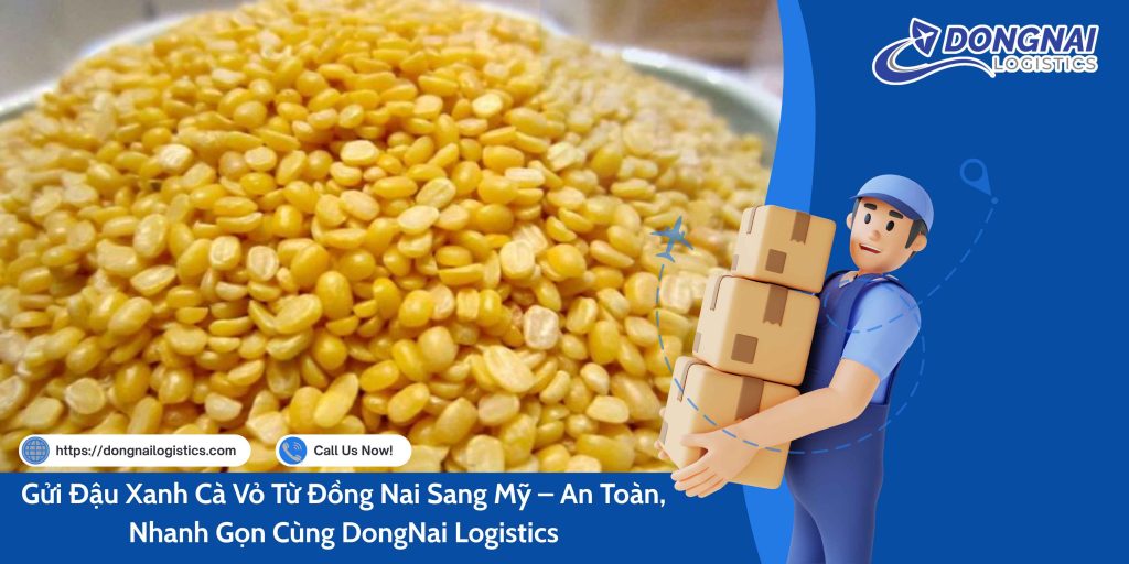 GỬI ĐẬU XANH CÀ VỎ TỪ VIỆT NAM SANG MỸ - AN TOÀN, NHANH GỌN CÙNG DONGNAI LOGISTICS