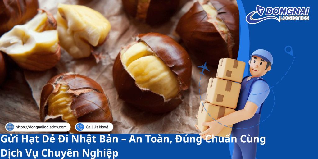 Gửi Hạt Dẻ Đi Nhật Bản – An Toàn, Đúng Chuẩn Cùng Dịch Vụ Chuyên Nghiệp