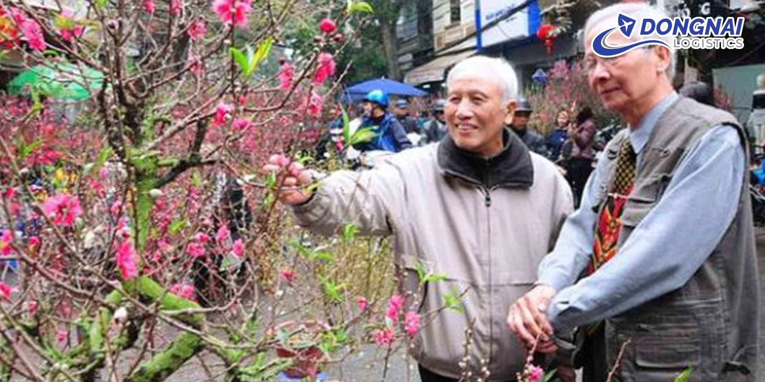 VẬN CHUYỂN CÂY ĐÀO TRƯNG TẾT TỪ HÀ NỘI VÀO TP. HCM – AN TOÀN, ĐÚNG HẸN CÙNG DONGNAI LOGISTICS