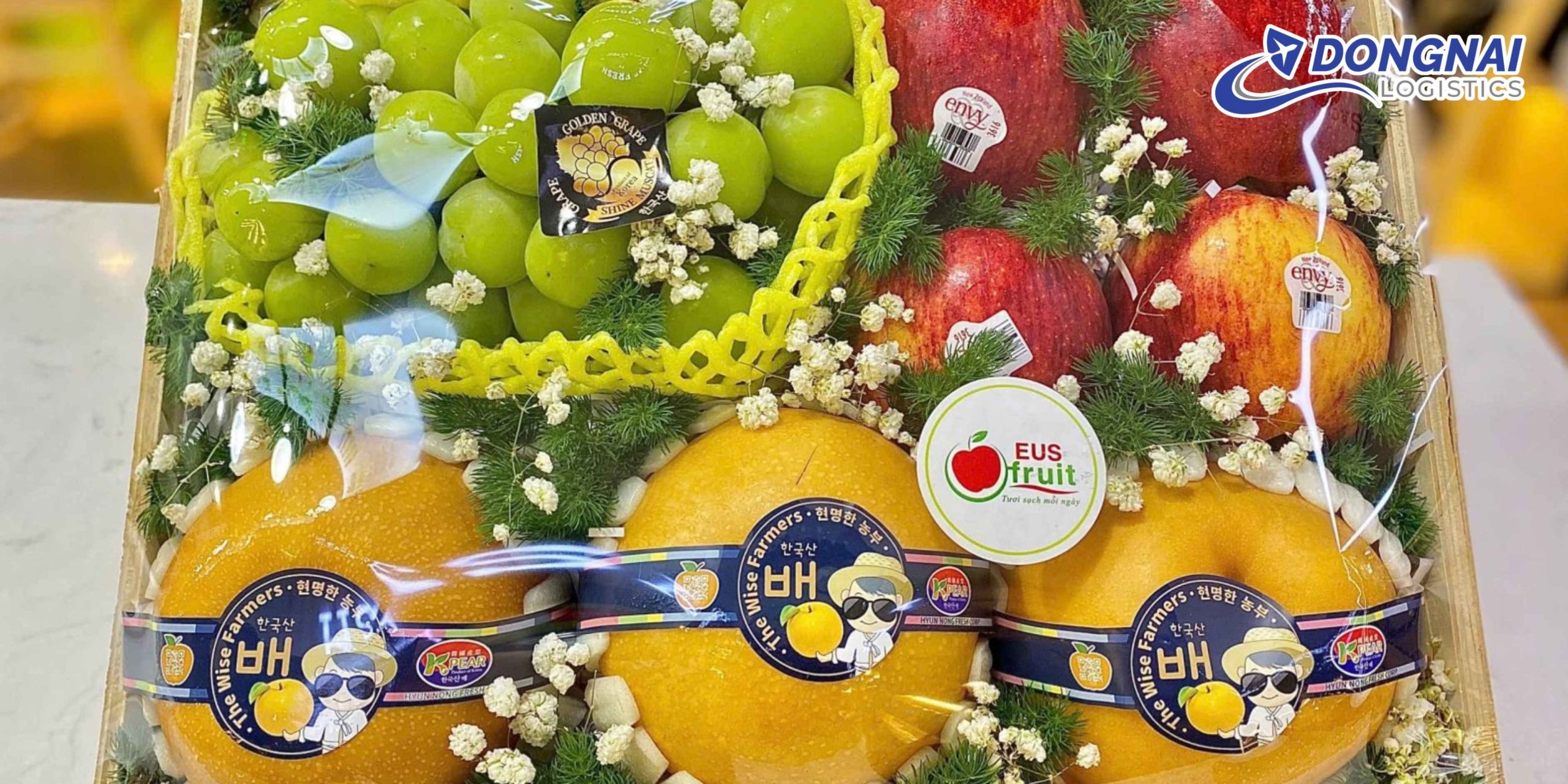 GỬI HỎA TỐC TRÁI CÂY TƯƠI TỪ SÀI GÒN RA HẢI PHÒNG – NHANH TRONG NGÀY CÙNG DONGNAI LOGISTICS
