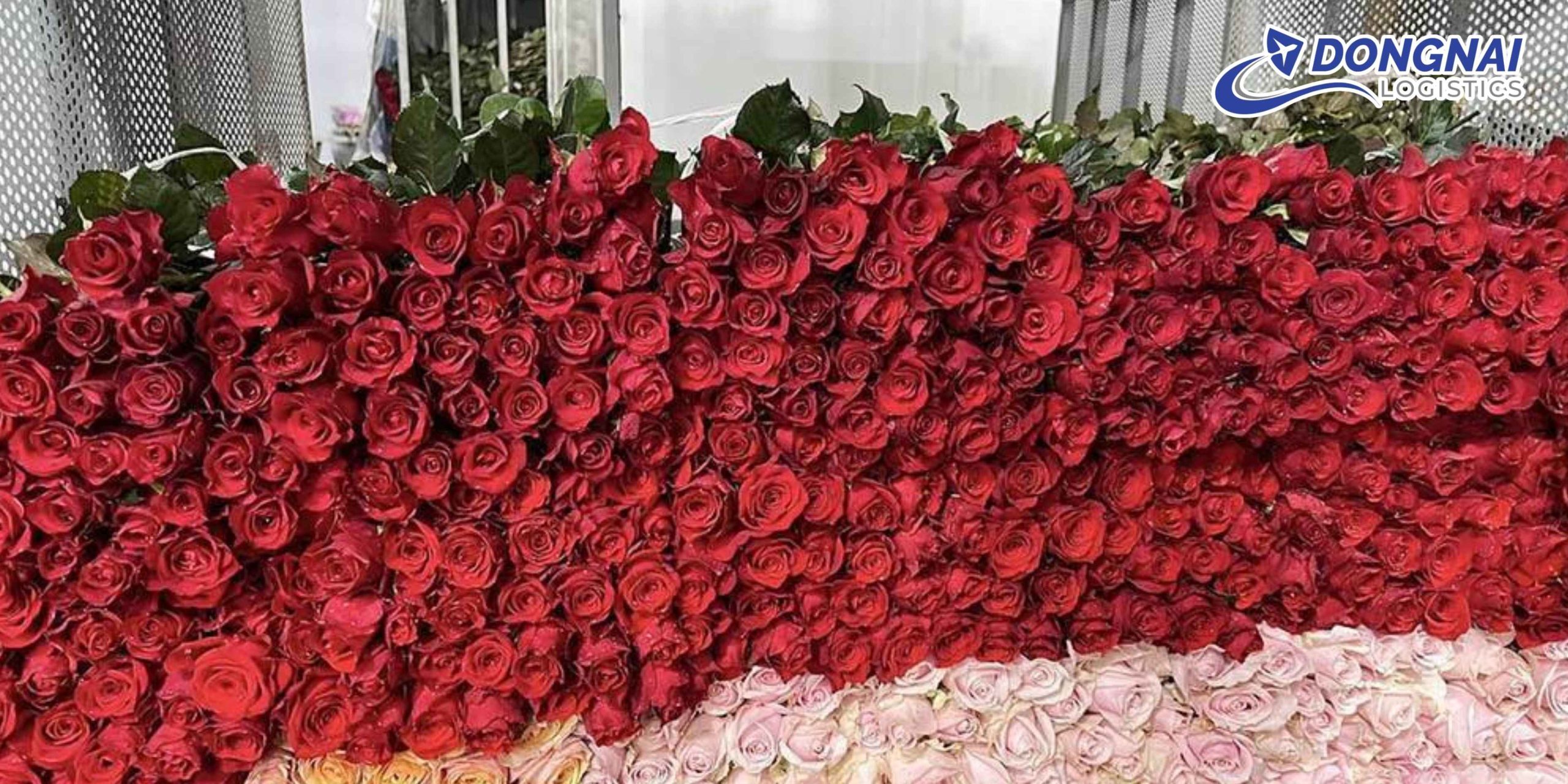 GỬI HỎA TỐC HOA TƯƠI TỪ ĐÀ LẠT ĐI HÀ NỘI – GIỮ TRỌN ĐỘ TƯƠI CÙNG DONGNAI LOGISTICS