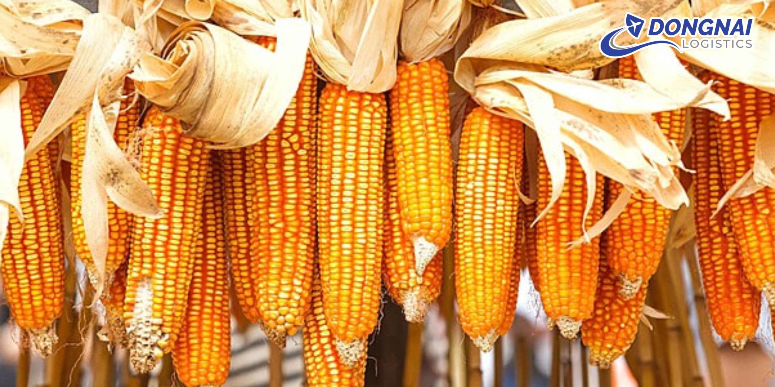 GỬI HẠT BẮP KHÔ TỪ VIỆT NAM SANG MỸ – AN TOÀN, ĐÚNG QUY ĐỊNH CÙNG DONGNAI LOGISTICS