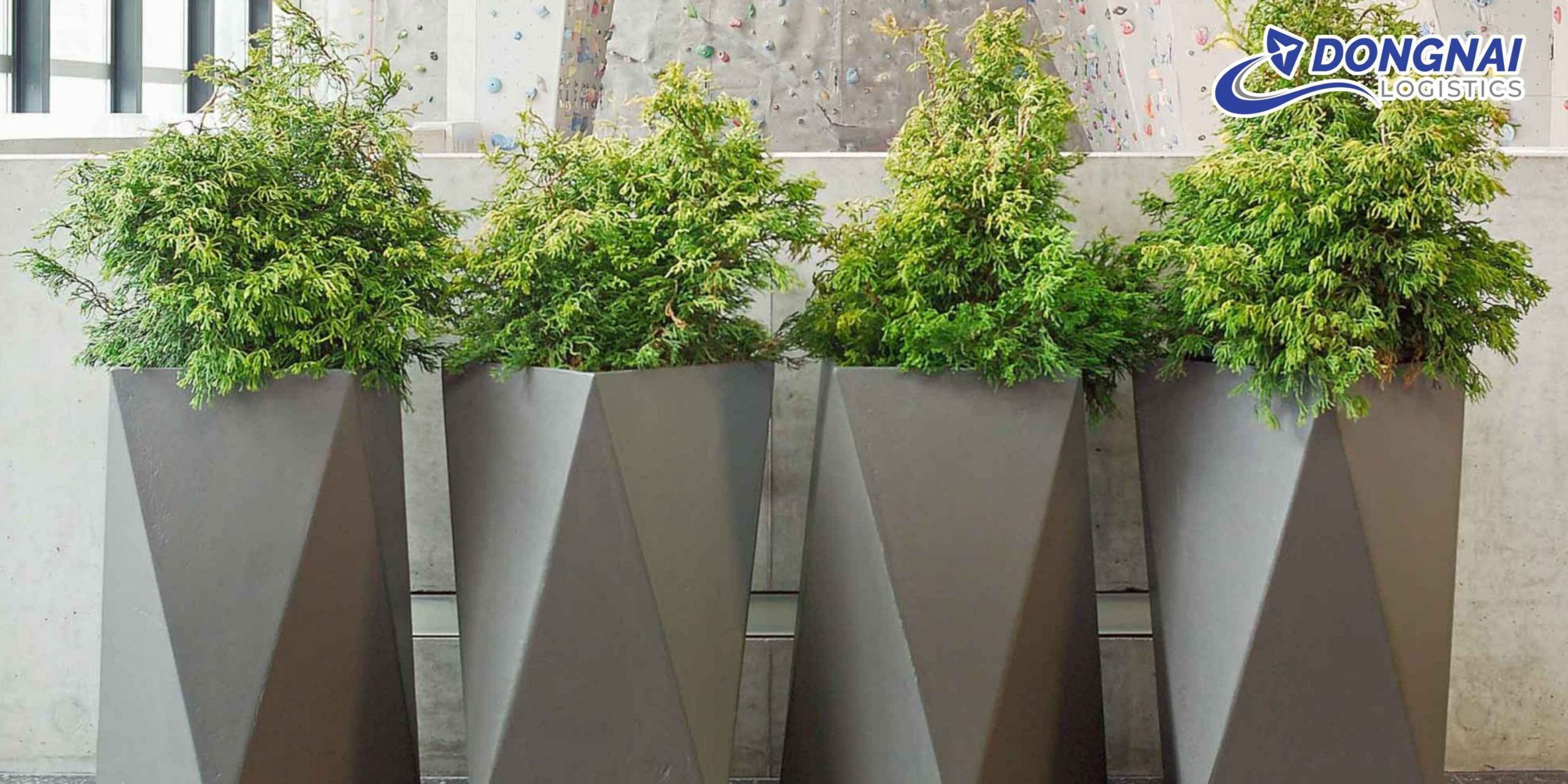 VẬN CHUYỂN CHẬU CÂY CẢNH BẰNG ĐƯỜNG SẮT TỪ HÀ NỘI VÀO ĐÀ NẴNG – GIẢI PHÁP AN TOÀN VÀ ỔN ĐỊNH