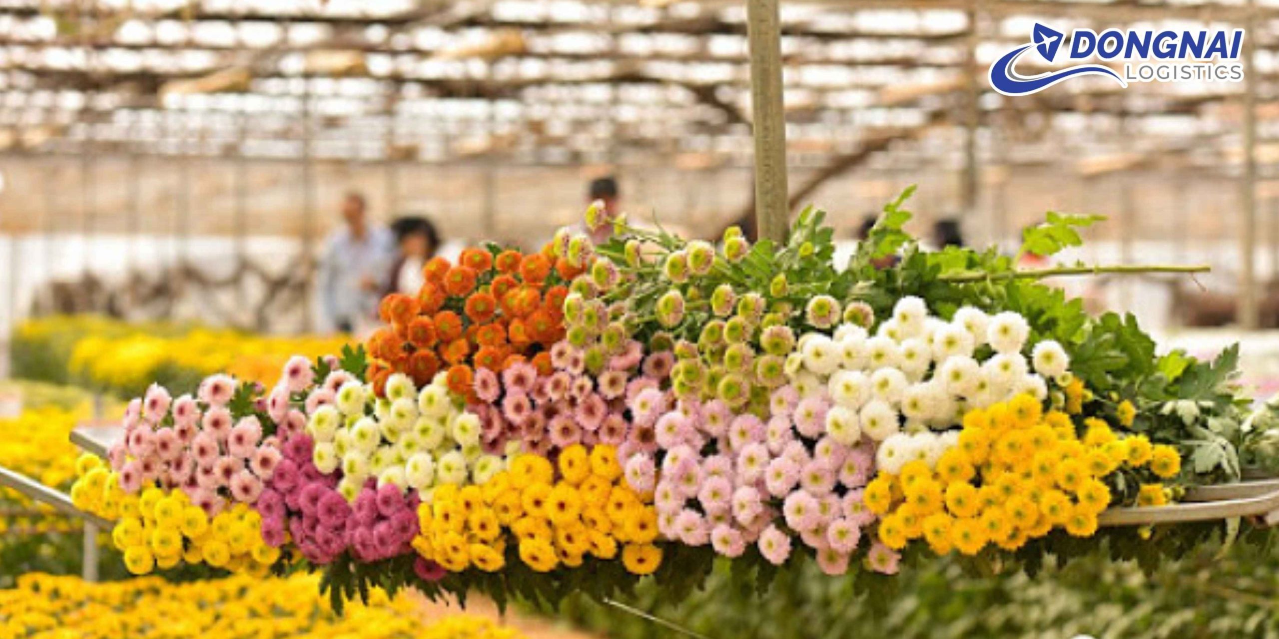 GỬI HỎA TỐC HOA TƯƠI TỪ ĐÀ LẠT ĐI HÀ NỘI – GIỮ TRỌN ĐỘ TƯƠI CÙNG DONGNAI LOGISTICS