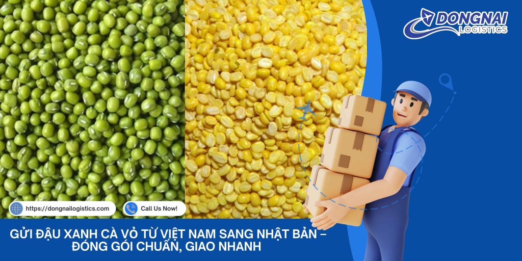 Gửi Đậu Xanh Cà Vỏ Từ Việt Nam Sang Nhật Bản – Đóng Gói Chuẩn, Giao Nhanh Cùng Đồng Nai Logistics