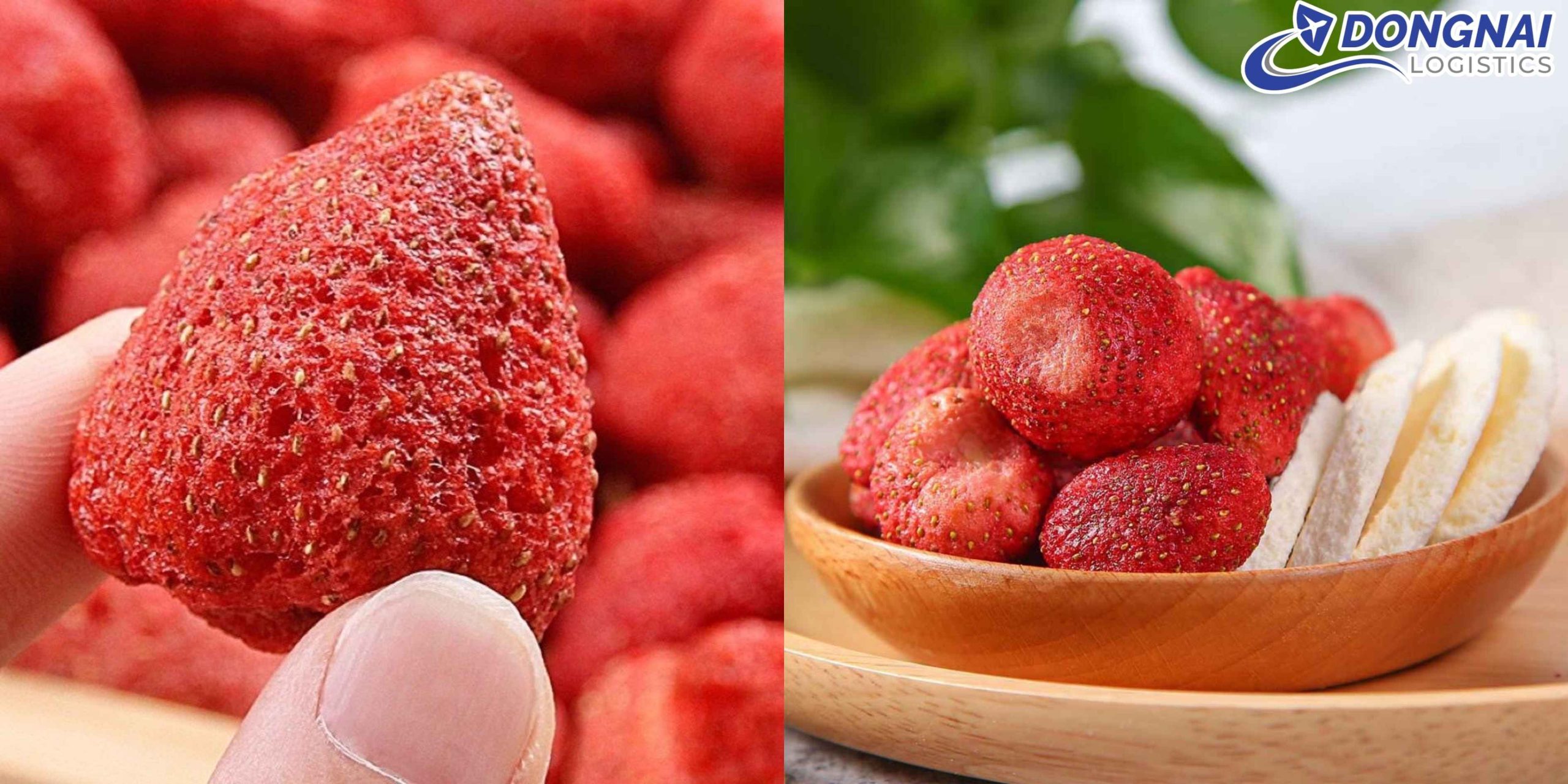 Vận Chuyển Dâu Tây Sấy Đà Lạt Sang Pháp – Phục Vụ Thị Trường Quà Tặng Cao Cấp