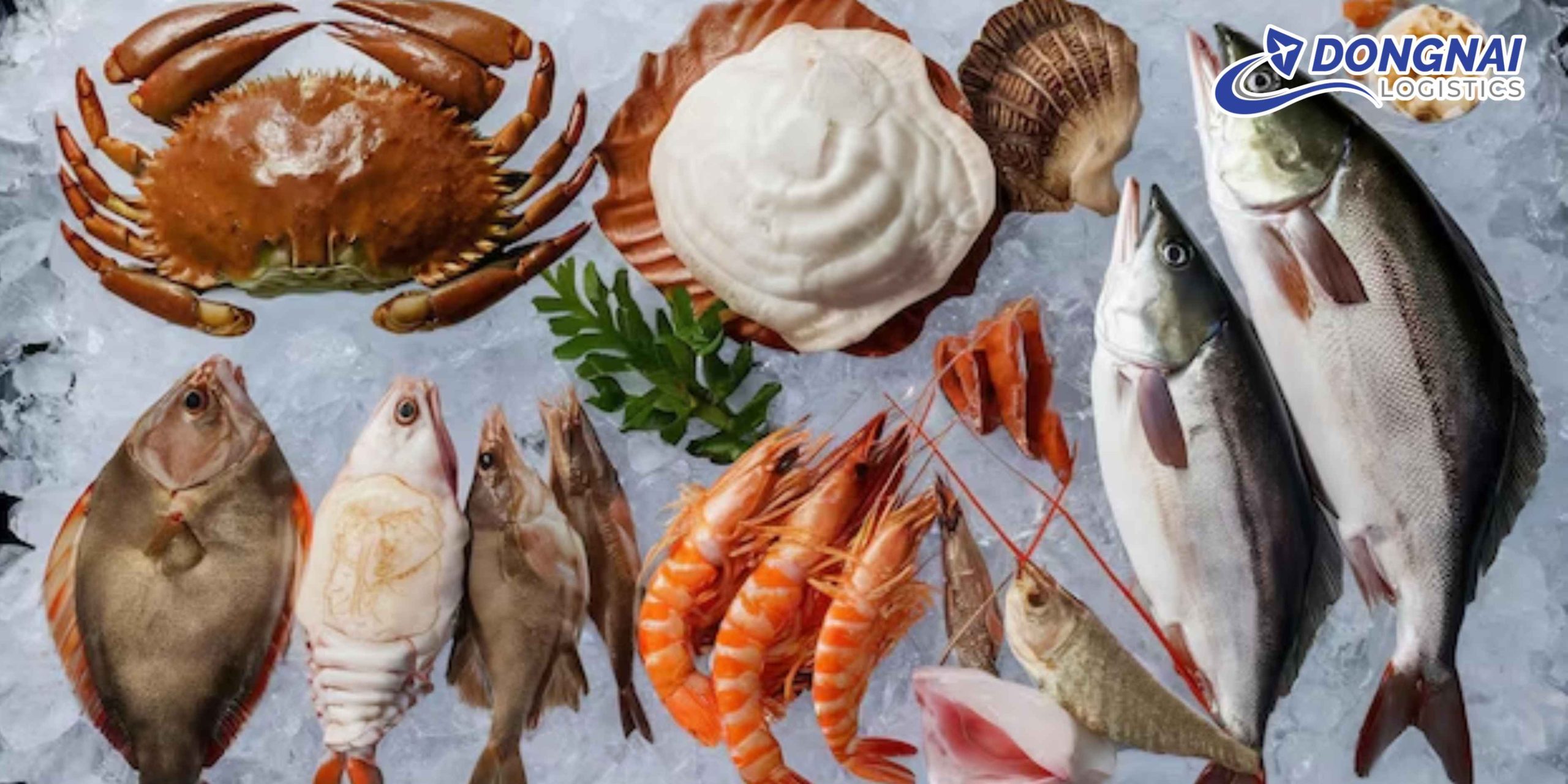 Gửi Hải Sản Từ Việt Nam Sang Malaysia An Toàn Cùng DongNai Logistics