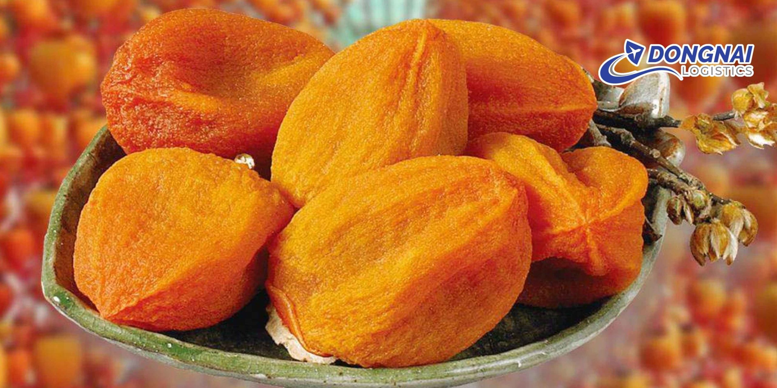 Gửi Hồng Treo Gió Từ Đà Lạt Đi Nam Định – Giữ Trọn Vị Ngọt Tự Nhiên Cùng DongNai Logistics