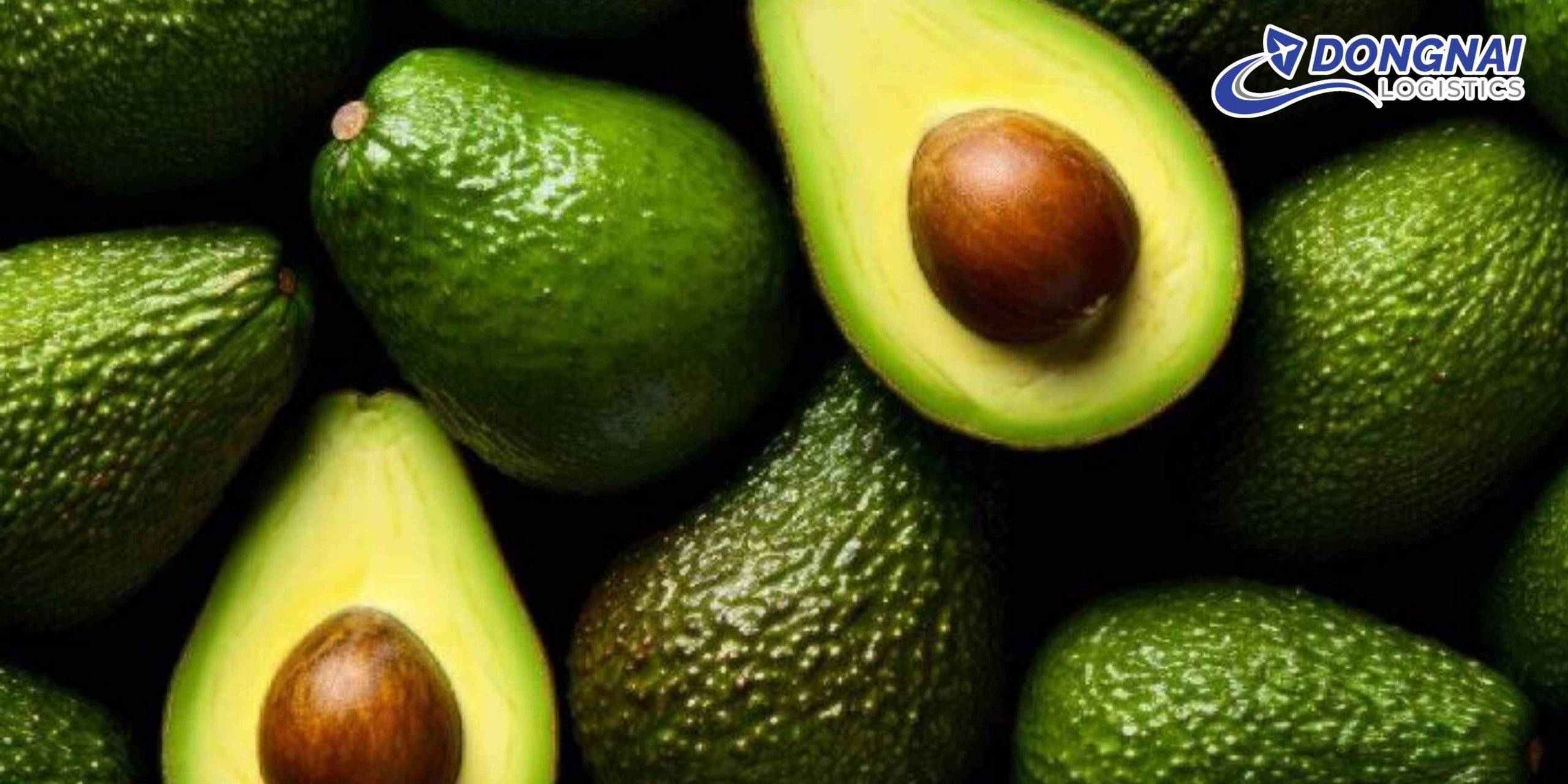 Gửi Bơ Đắk Lắk Đi Thanh Hóa – Giữ Trọn Độ Tươi Ngon Cùng DongNai Logistics