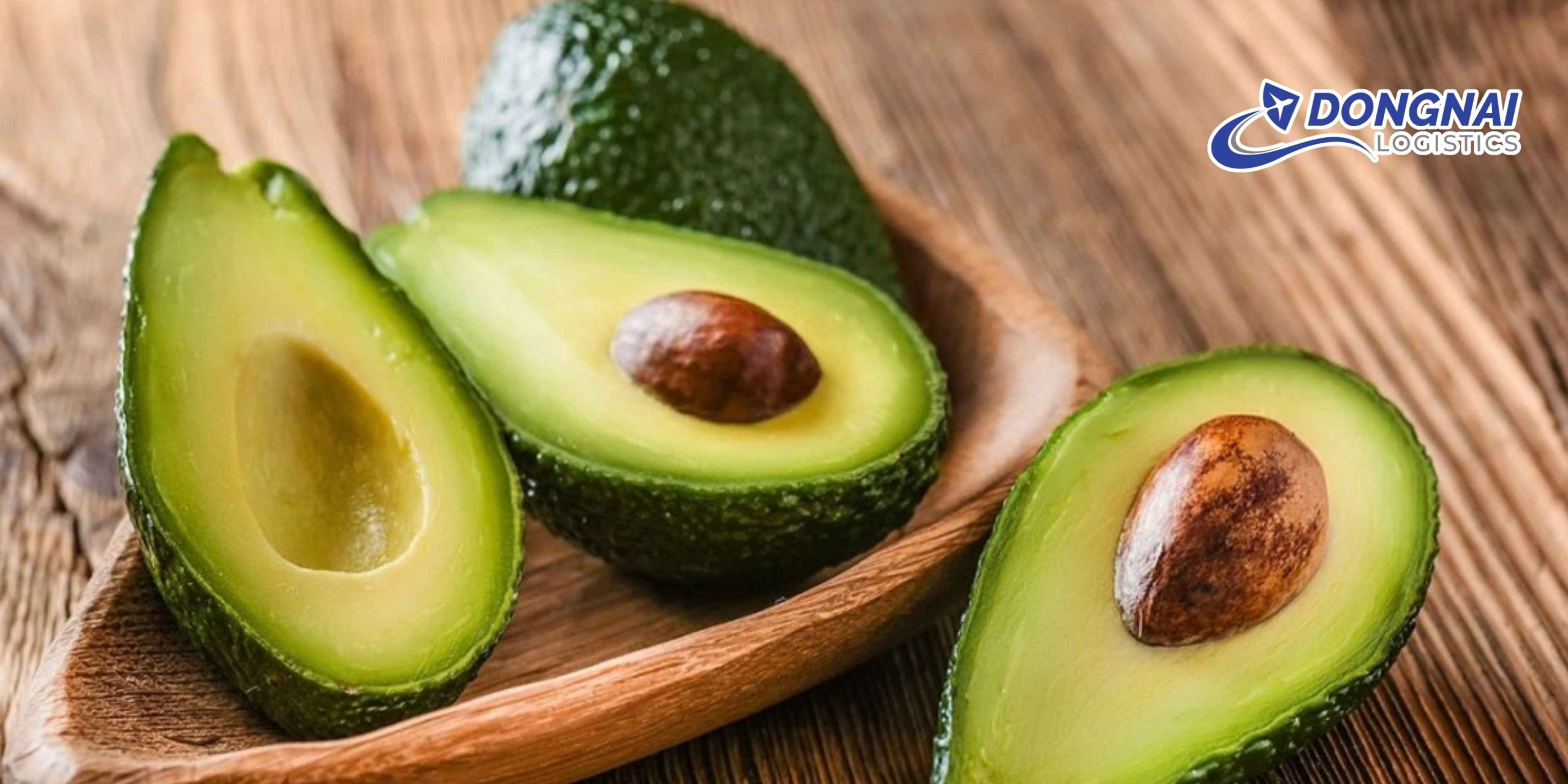 Gửi Bơ Đắk Lắk Đi Thanh Hóa – Giữ Trọn Độ Tươi Ngon Cùng DongNai Logistics