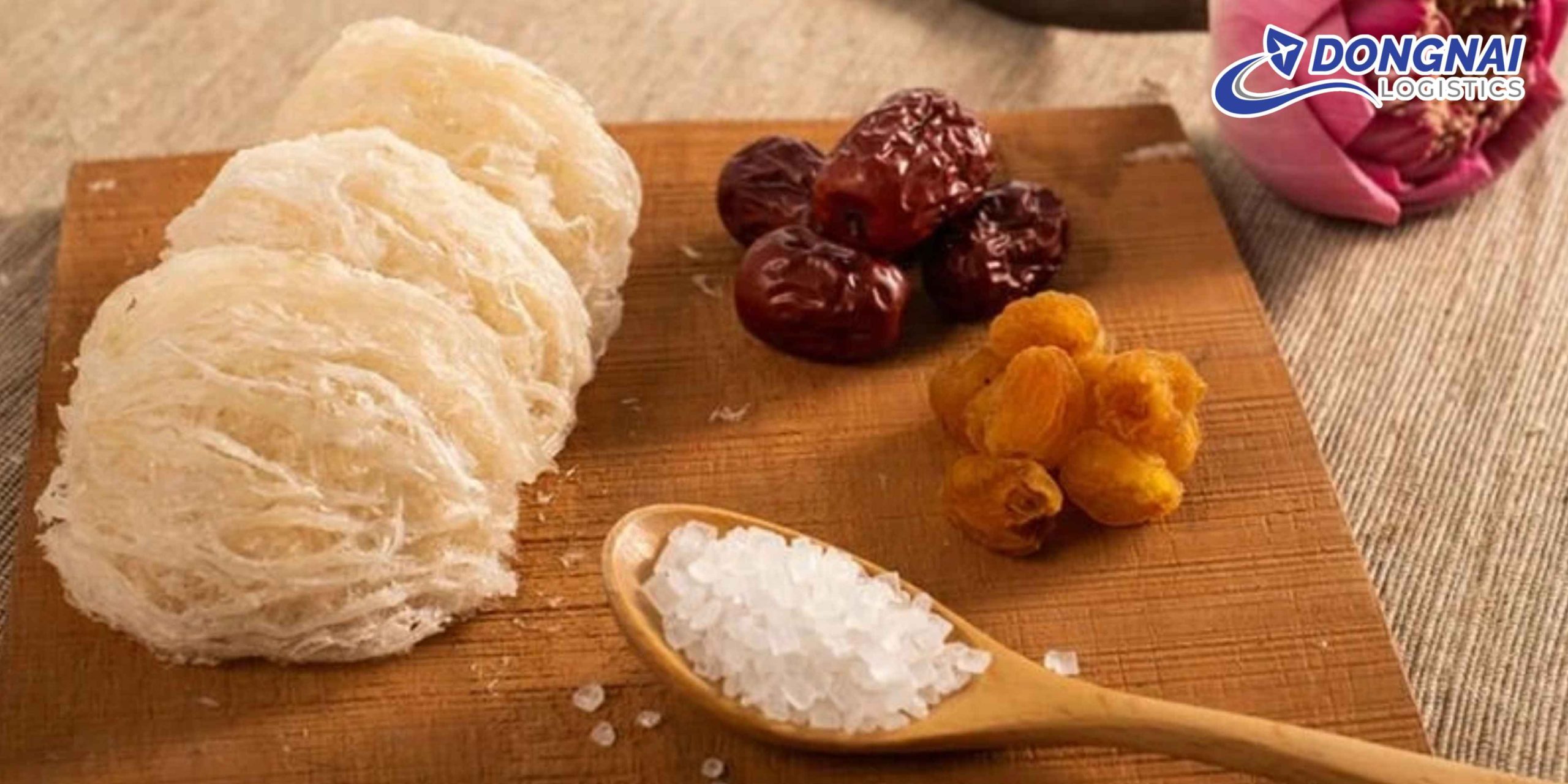 Gửi Yến Sào Khánh Hòa Đi Pháp – An Toàn, Nhanh Chóng Cùng DongNai Logistics