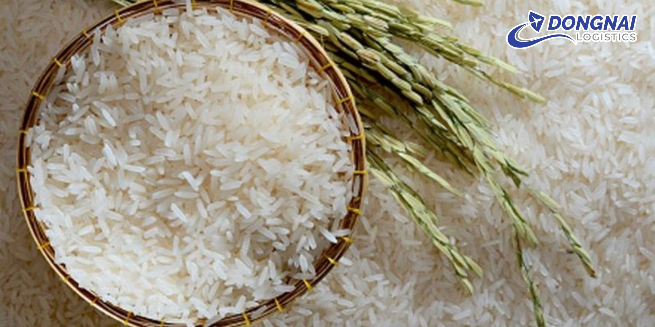 Gửi Gạo ST25 Đi Philippines – Nhanh Gọn, Đúng Chuẩn Cùng DongNai Logistics