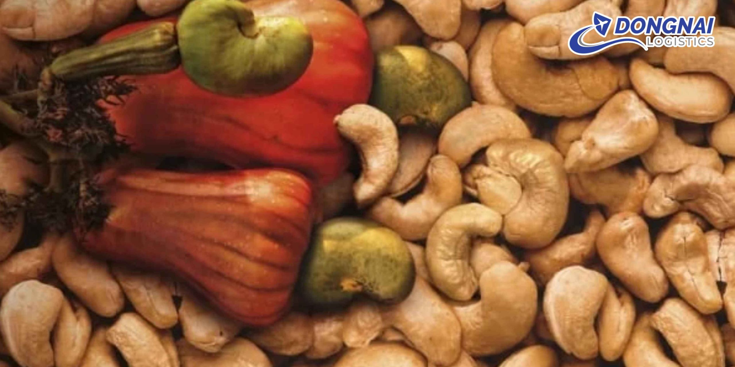 Gửi Hạt Điều Từ Đồng Nai Đi Phú Thọ – Nhanh Chóng, An Toàn Cùng DongNai Logistics
