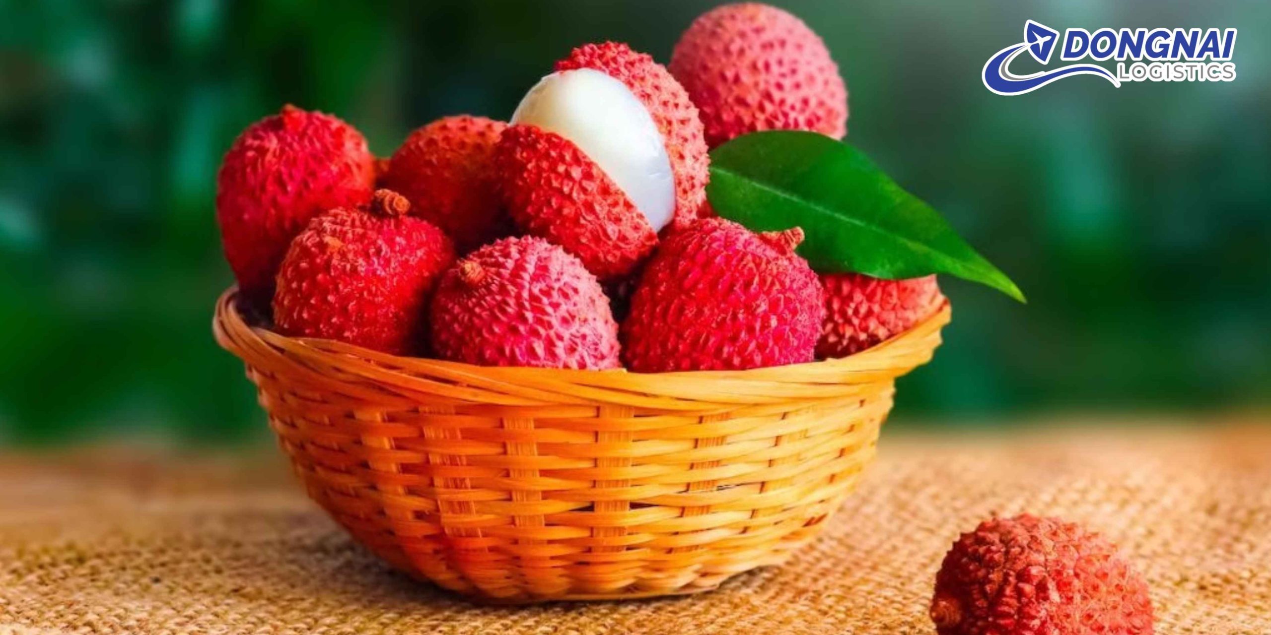 Gửi Vải Thiều Từ Việt Nam Đi Trung Quốc – Tươi Ngon Chuẩn Xuất Khẩu Cùng DongNai Logistics