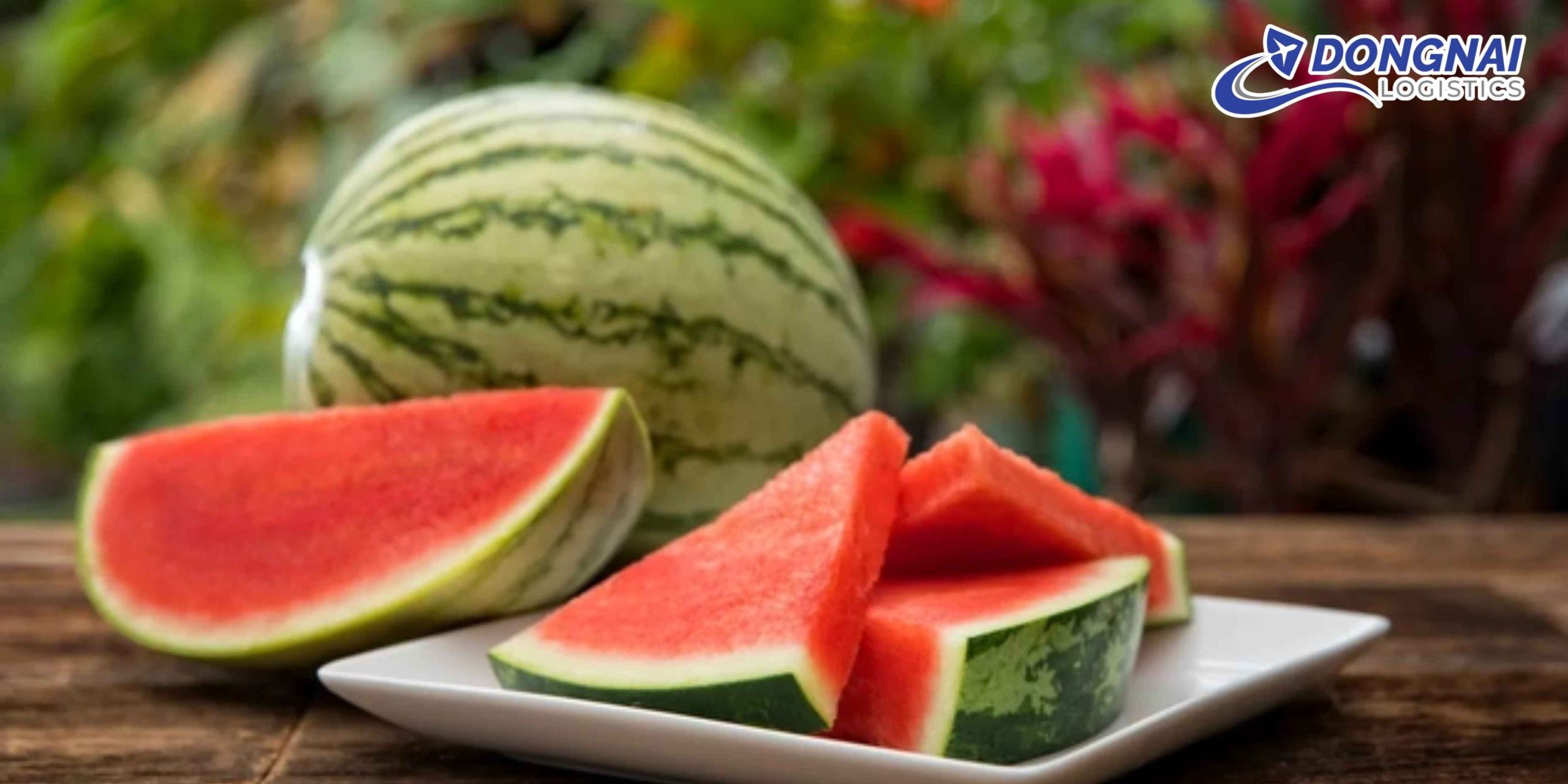 Gửi Dưa Hấu Từ Việt Nam Đi Nhật Bản – Tươi Đẹp Chuẩn Xuất Khẩu Cùng DongNai Logistics