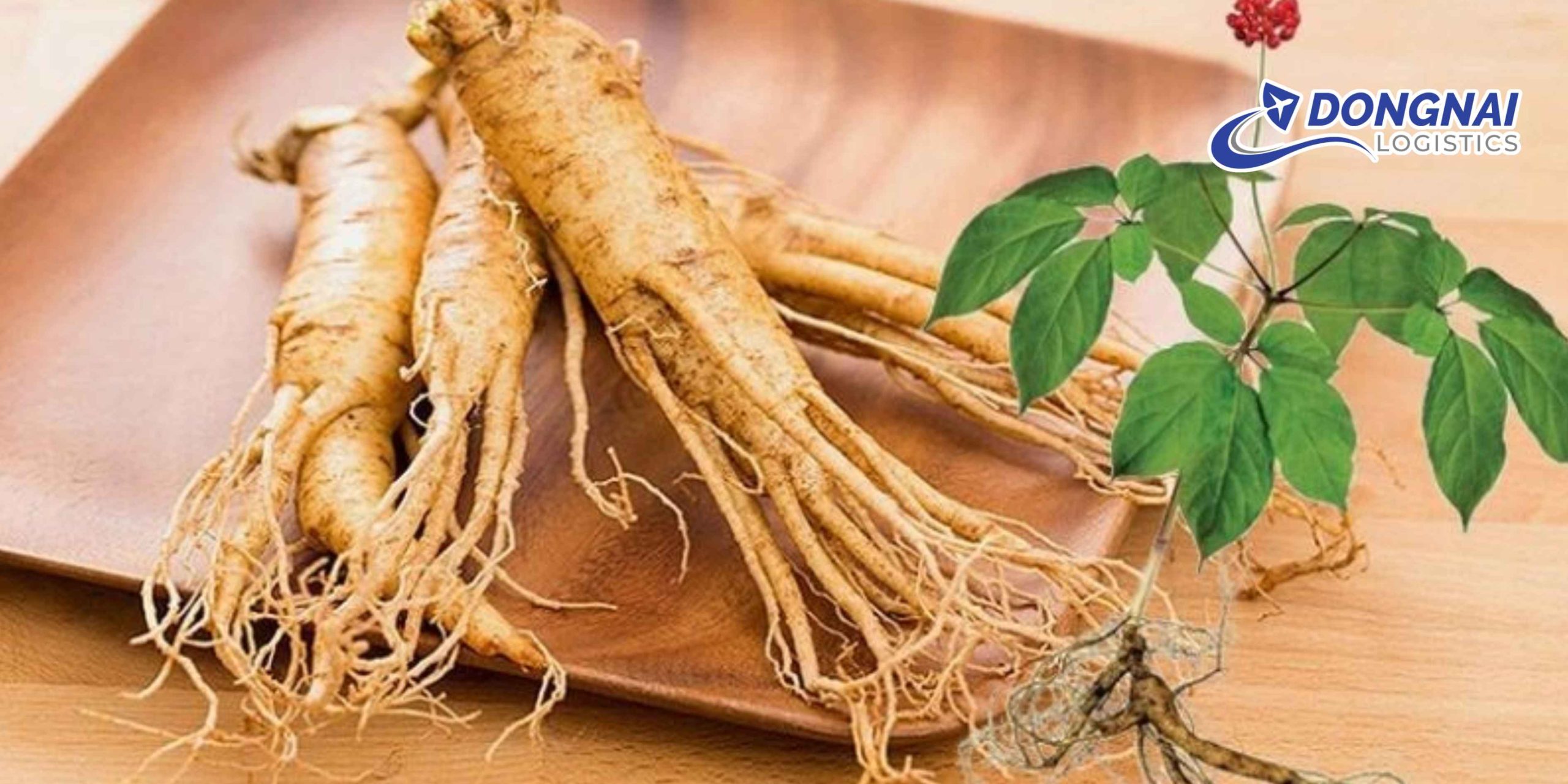 Gửi Nhân Sâm Đi Hàn Quốc – An Toàn, Đúng Quy Định Cùng DongNai Logistics