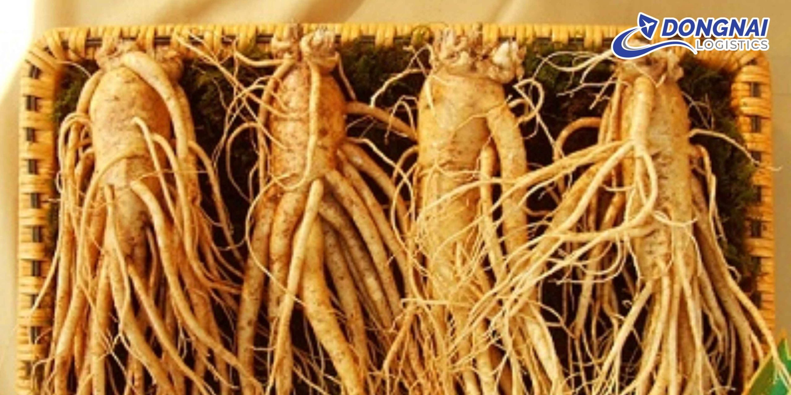 Gửi Nhân Sâm Đi Hàn Quốc – An Toàn, Đúng Quy Định Cùng DongNai Logistics