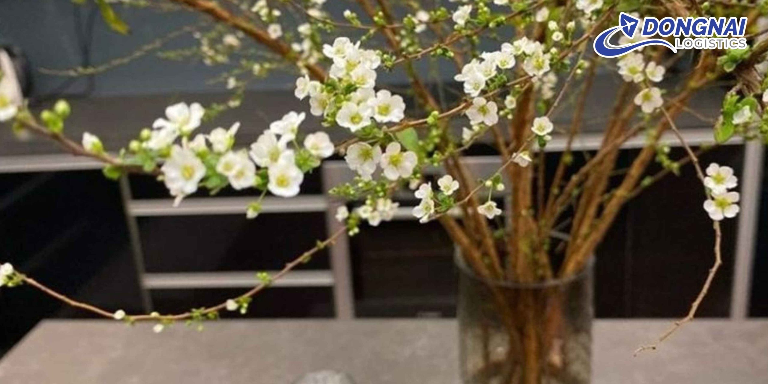 Gửi Cây Hoa Tuyết Mai Từ Đà Lạt Về Cần Thơ Sắm Tết – Giữ Dáng Đẹp, Nở Đúng Dịp Cùng DongNai Logistics