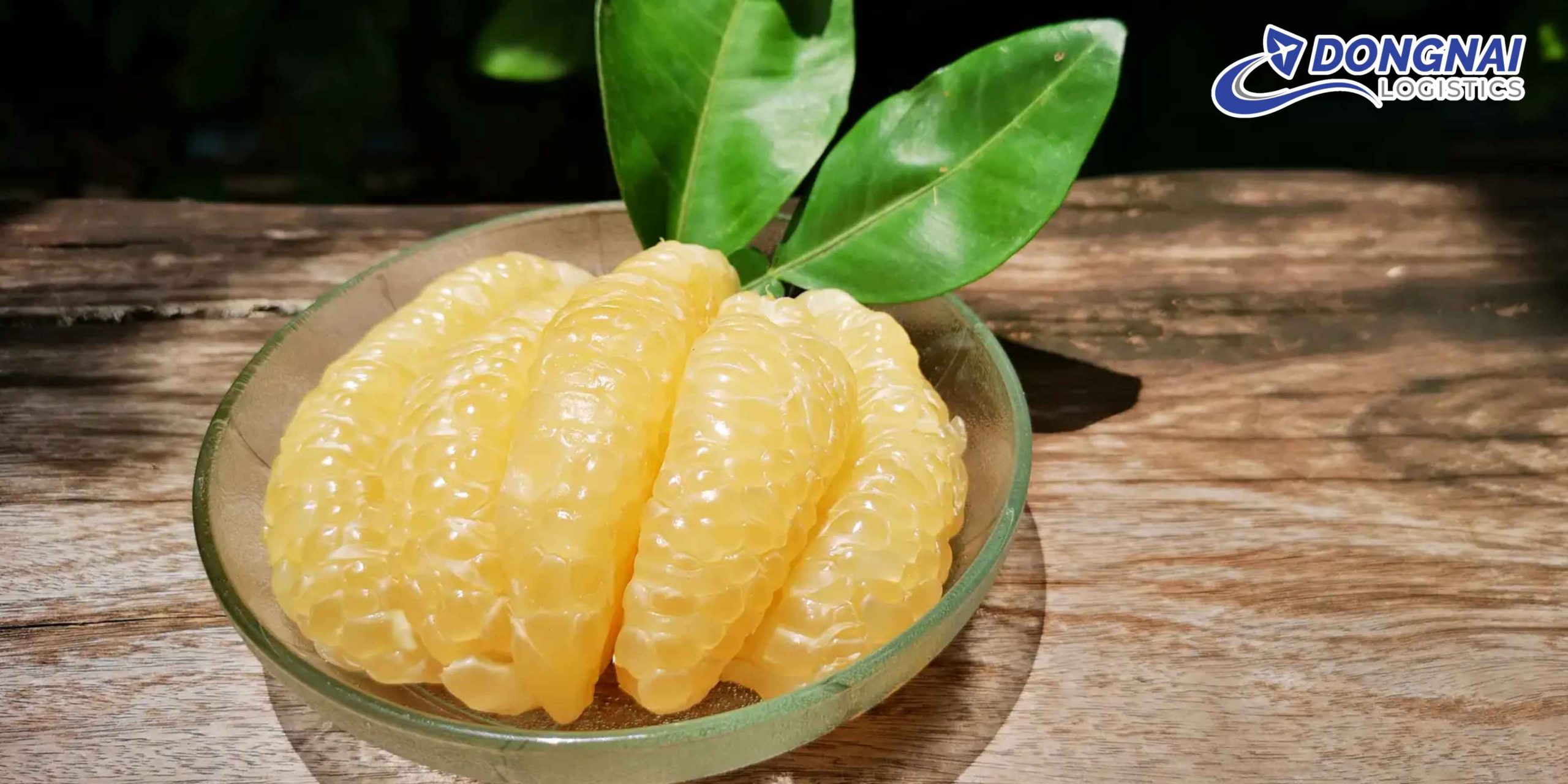 Gửi Bưởi Tân Triều Từ Đồng Nai Đi Nha Trang – Tươi Ngon, Không Dập Nát Cùng DongNai Logistics