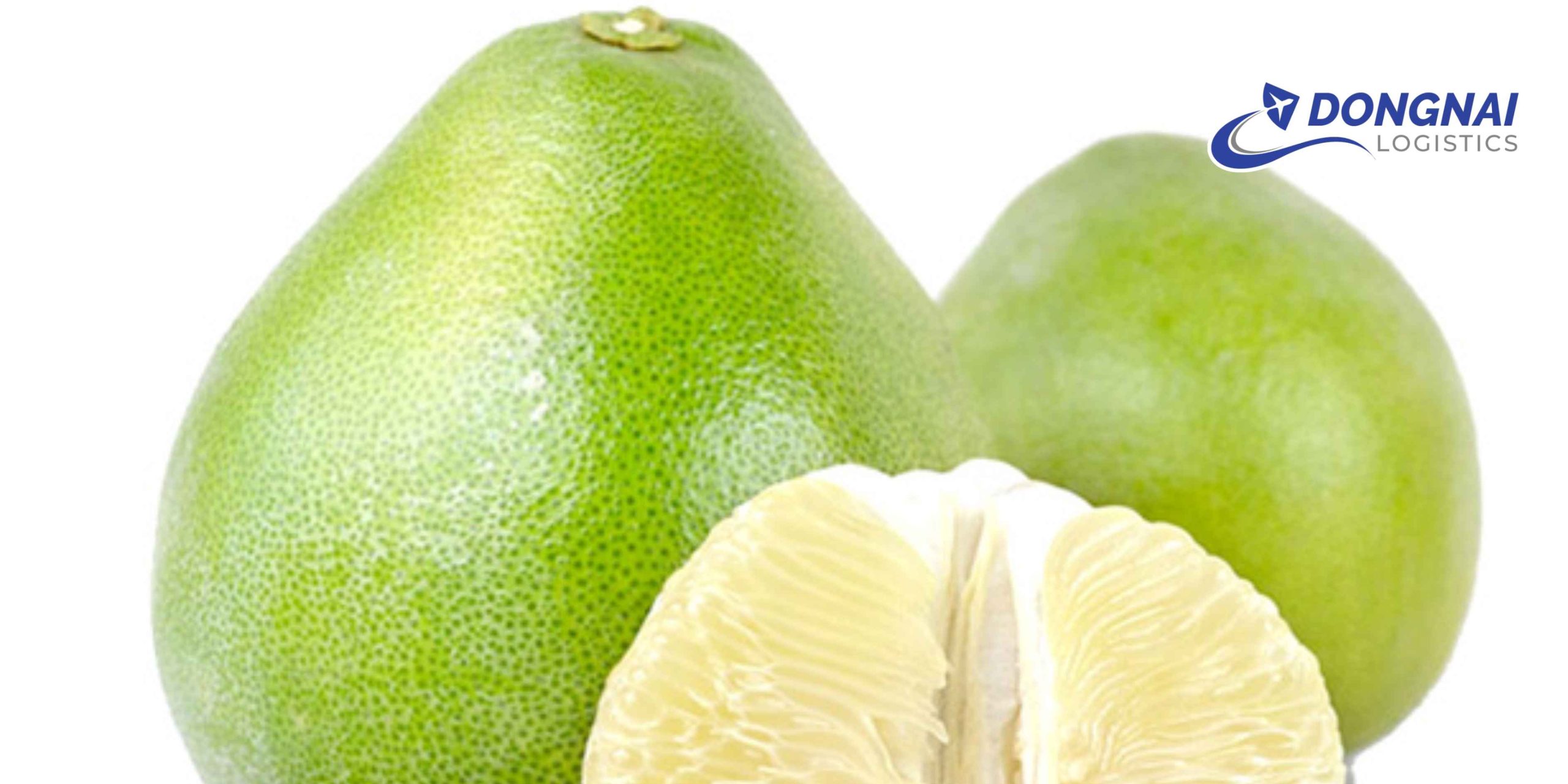 Gửi Bưởi Tân Triều Từ Đồng Nai Đi Nha Trang – Tươi Ngon, Không Dập Nát Cùng DongNai Logistics