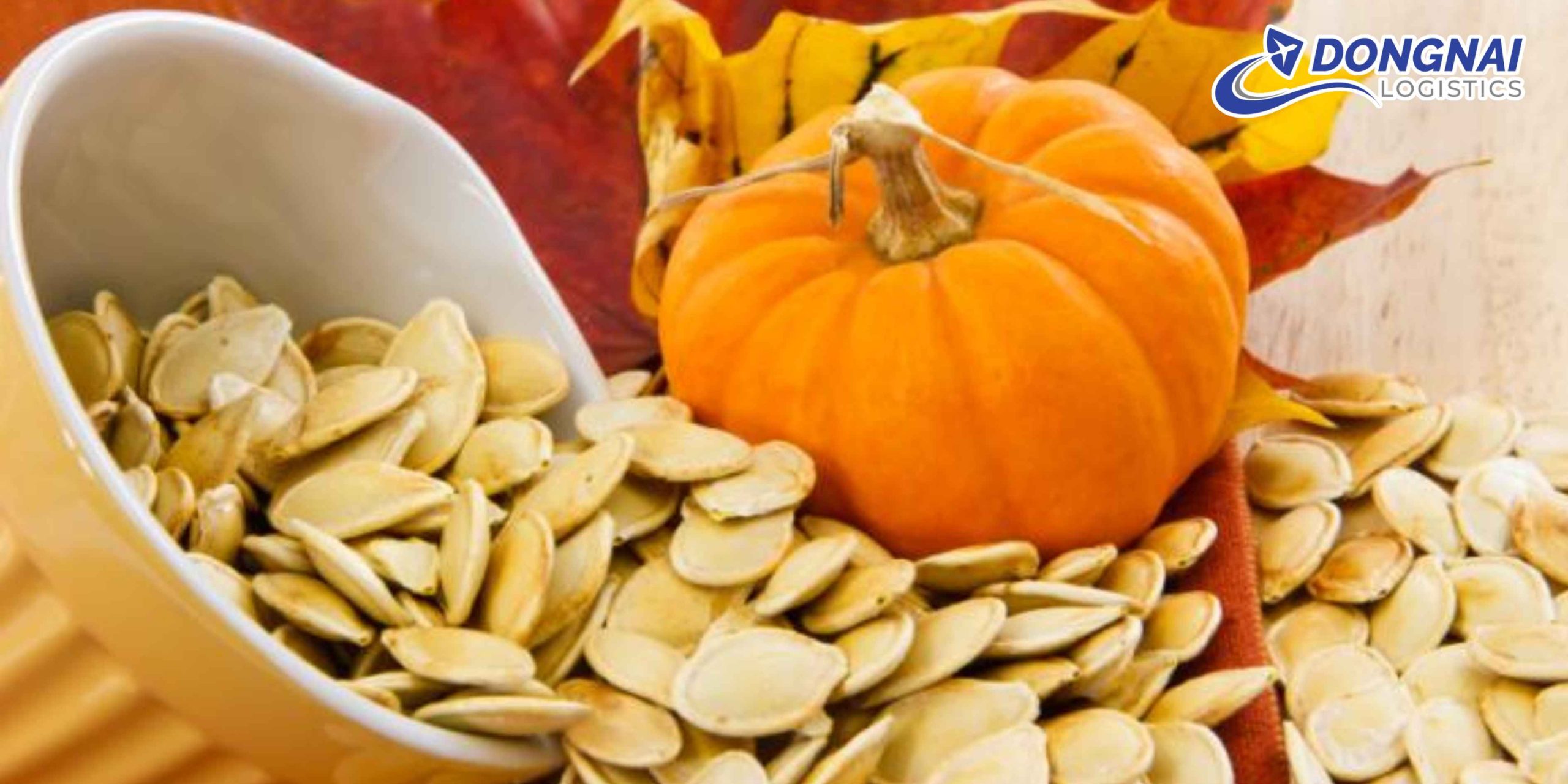 Gửi Hạt Bí Đi Cần Thơ – Khô Ráo, Nguyên Hạt, Đúng Hẹn Cùng DongNai Logistics