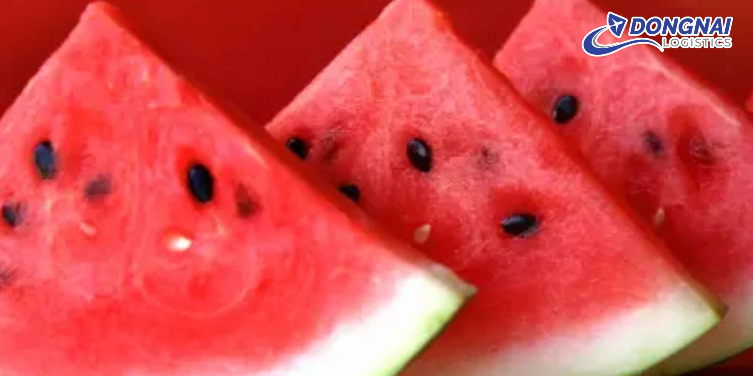 Gửi Dưa Hấu Đi Phú Thọ – Tươi Ngọt, Không Dập Vỡ Cùng DongNai Logistics