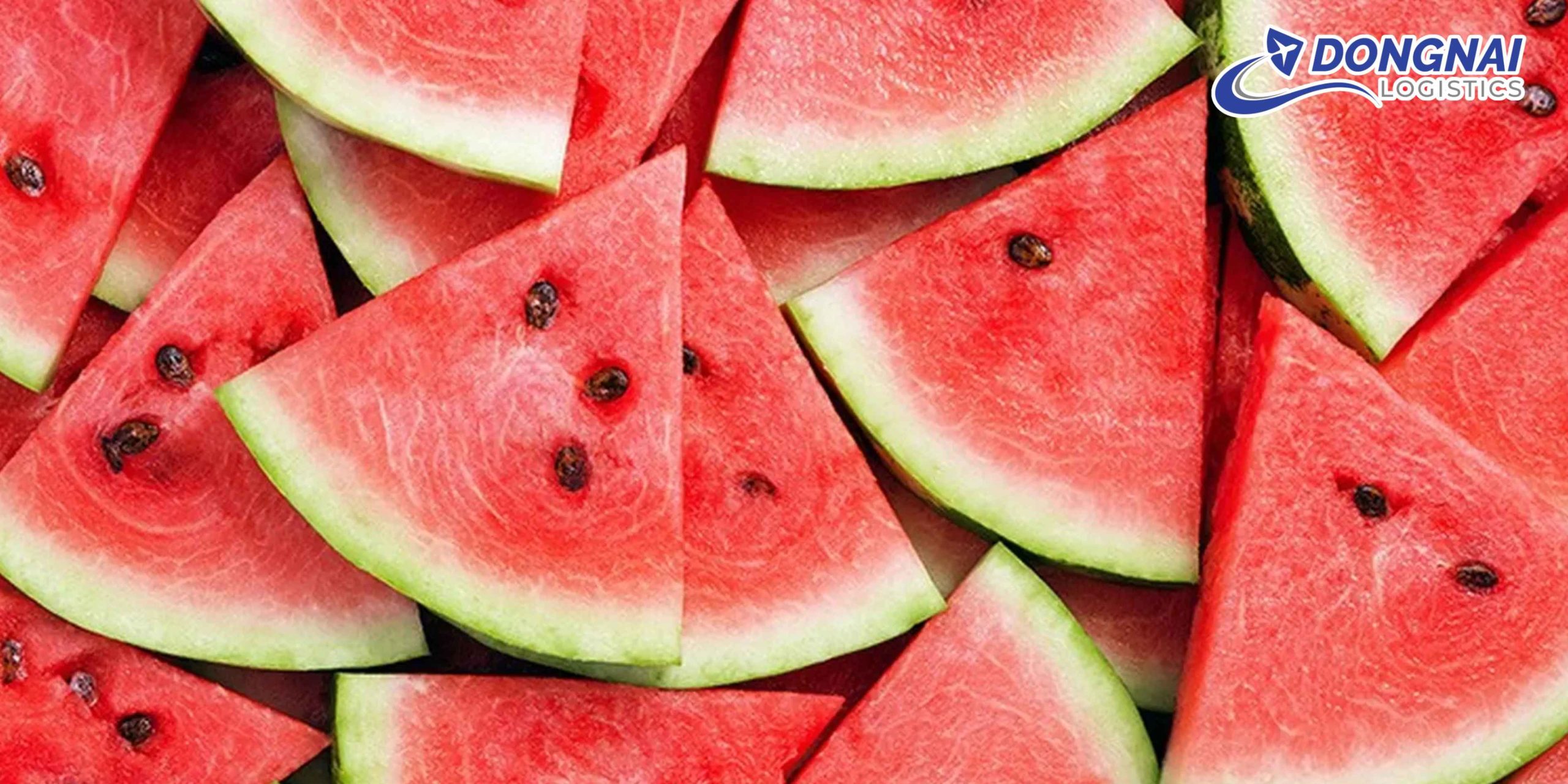 Gửi Dưa Hấu Đi Phú Thọ – Tươi Ngọt, Không Dập Vỡ Cùng DongNai Logistics