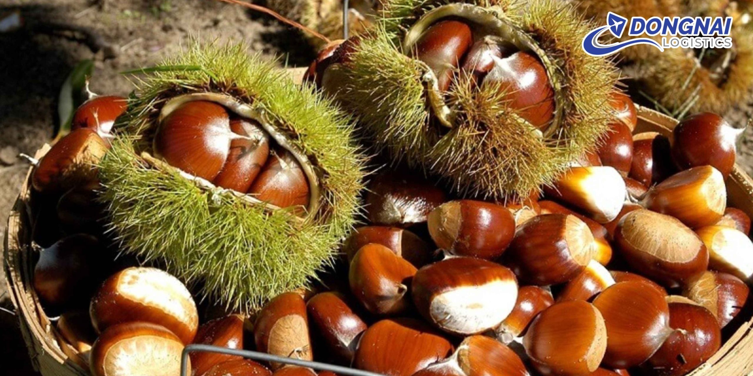Gửi Hạt Dẻ Từ Đà Lạt Đi Hà Nội – Tươi Ngon, Không Mốc Cùng DongNai Logistics