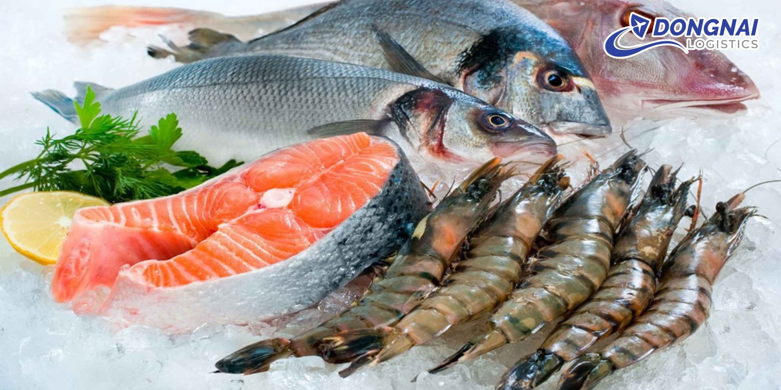 Gửi Hải Sản Đông Lạnh Đi Áo – Giữ Trọn Độ Tươi Ngon Cùng DongNai Logistics