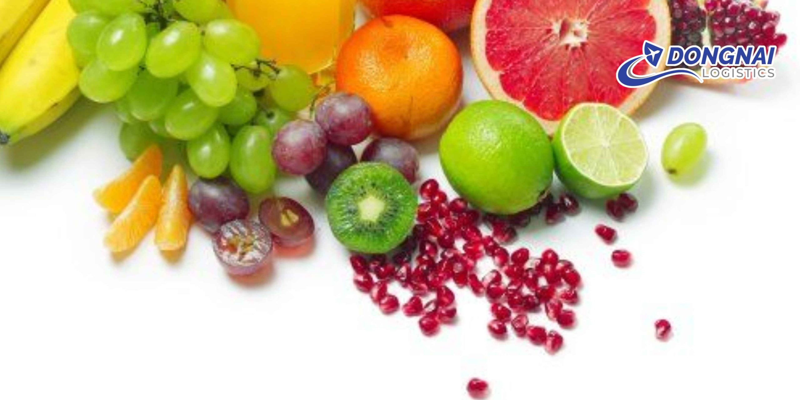 Gửi Trái Cây Từ Việt Nam Đi Canada – Giữ Trọn Độ Tươi Ngon Cùng DongNai Logistics