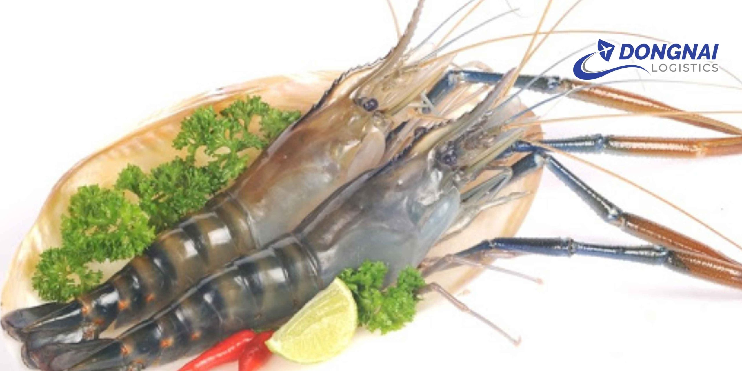 Gửi Tôm Từ Việt Nam Qua Mỹ – Giữ Độ Tươi, Đúng Chuẩn Cùng DongNai Logistics