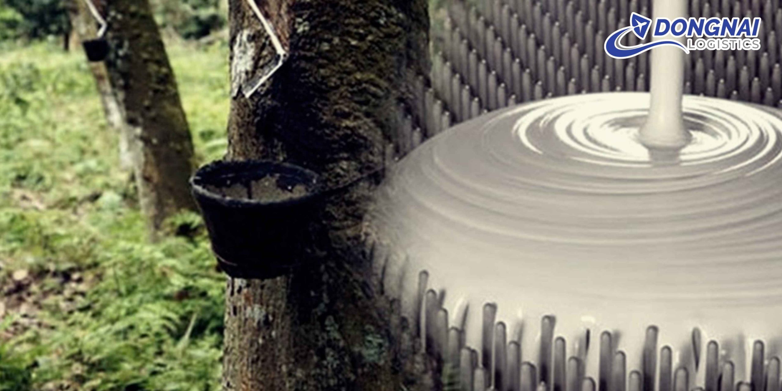 Gửi Cao Su Từ Việt Nam Sang Trung Quốc – Ổn Định, Đúng Tiến Độ Cùng DongNai Logistics