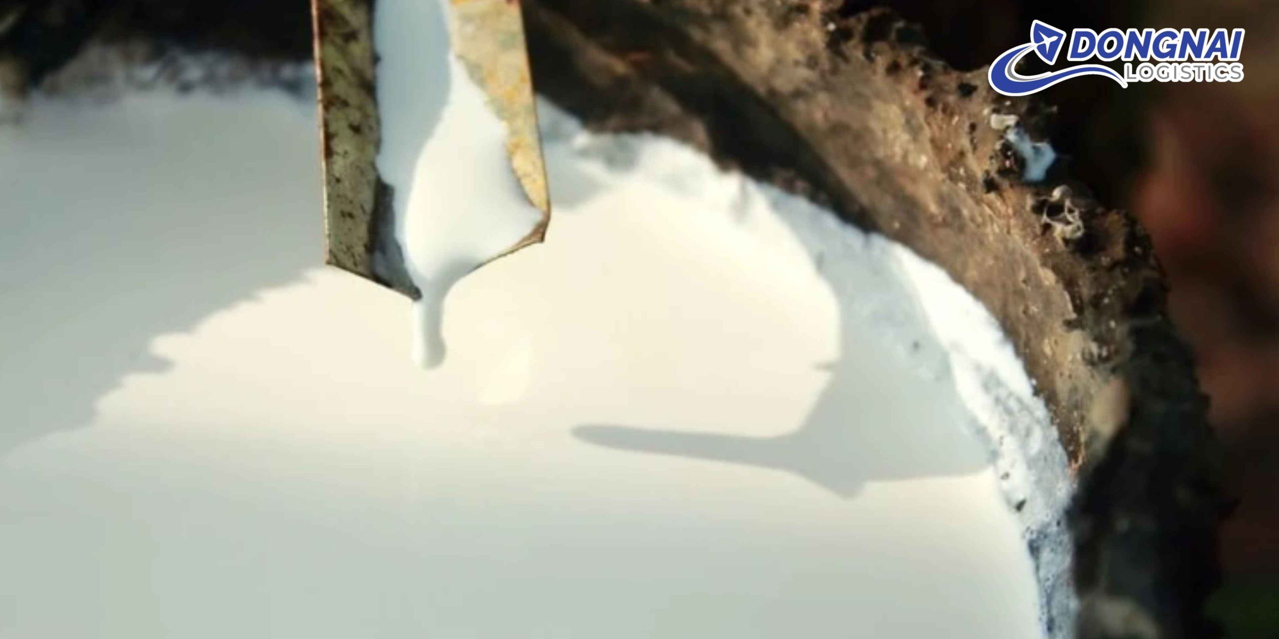 Gửi Cao Su Từ Việt Nam Sang Trung Quốc – Ổn Định, Đúng Tiến Độ Cùng DongNai Logistics