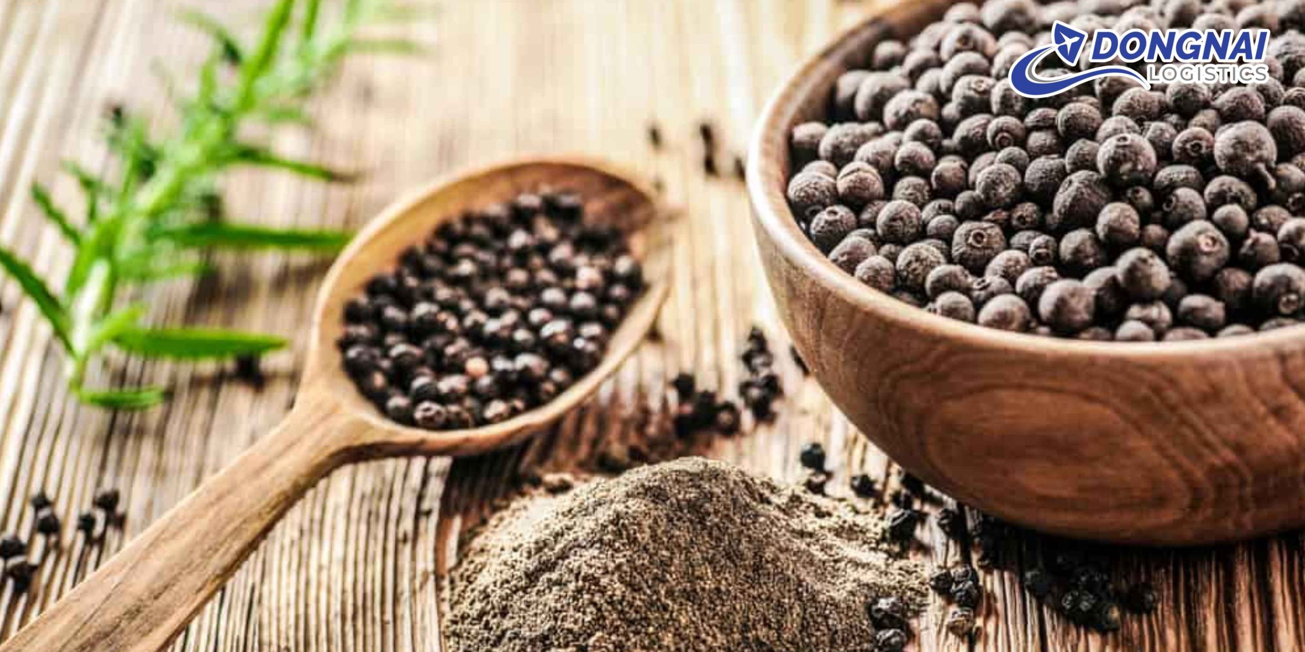 Gửi Hồ Tiêu Từ Việt Nam Sang Hàn Quốc – Giữ Trọn Hương Vị Cùng DongNai Logistics