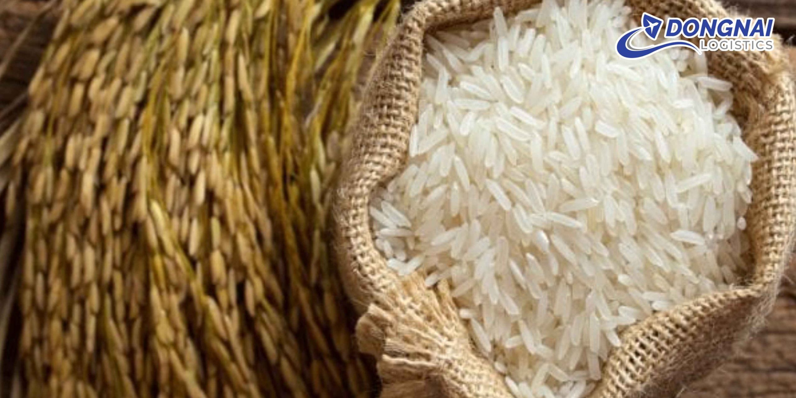 Gửi Gạo Từ Việt Nam Sang Nhật Bản – An Toàn, Đúng Chuẩn Cùng DongNai Logistics