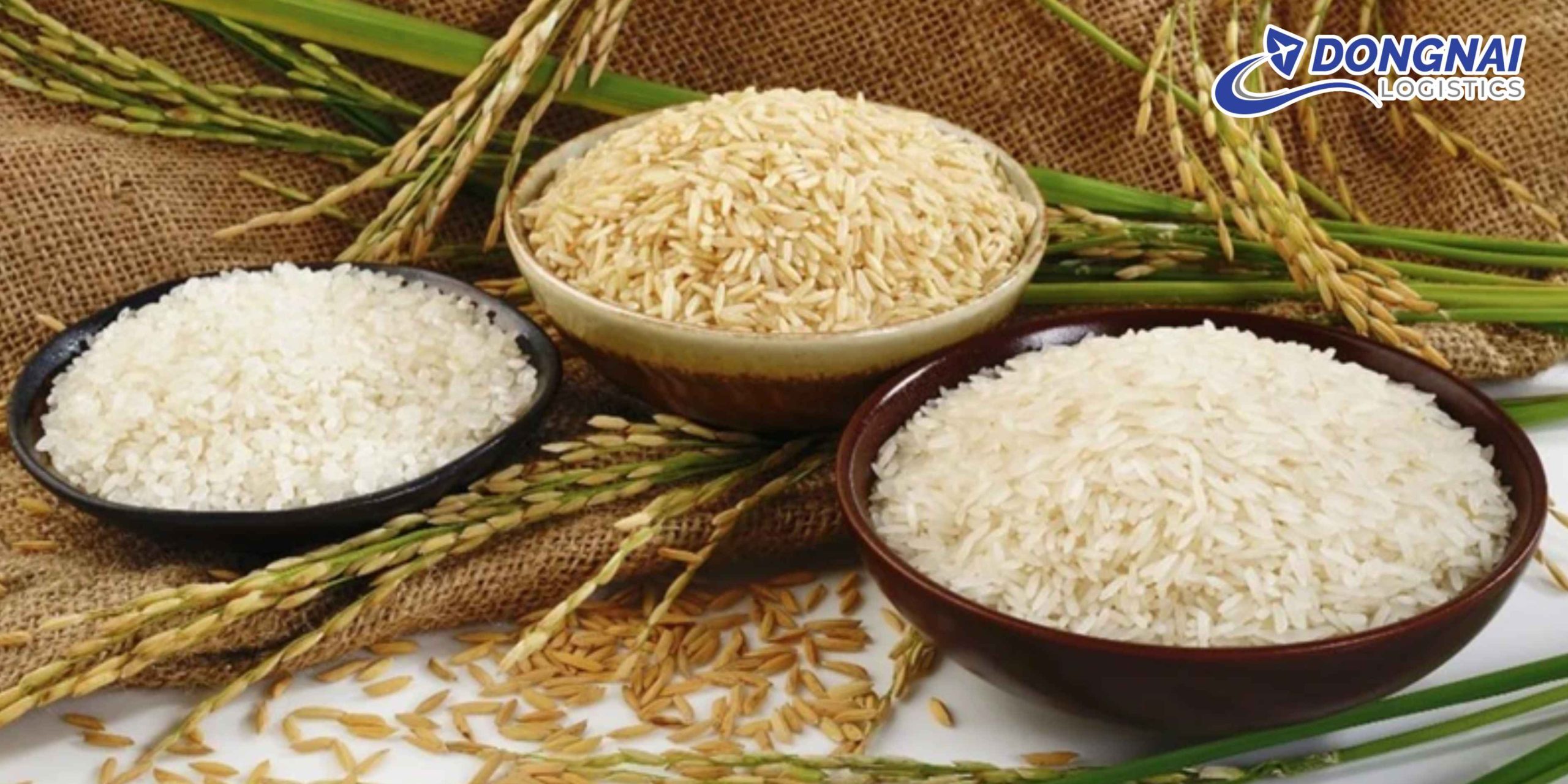 Gửi Gạo Từ Việt Nam Sang Nhật Bản – An Toàn, Đúng Chuẩn Cùng DongNai Logistics